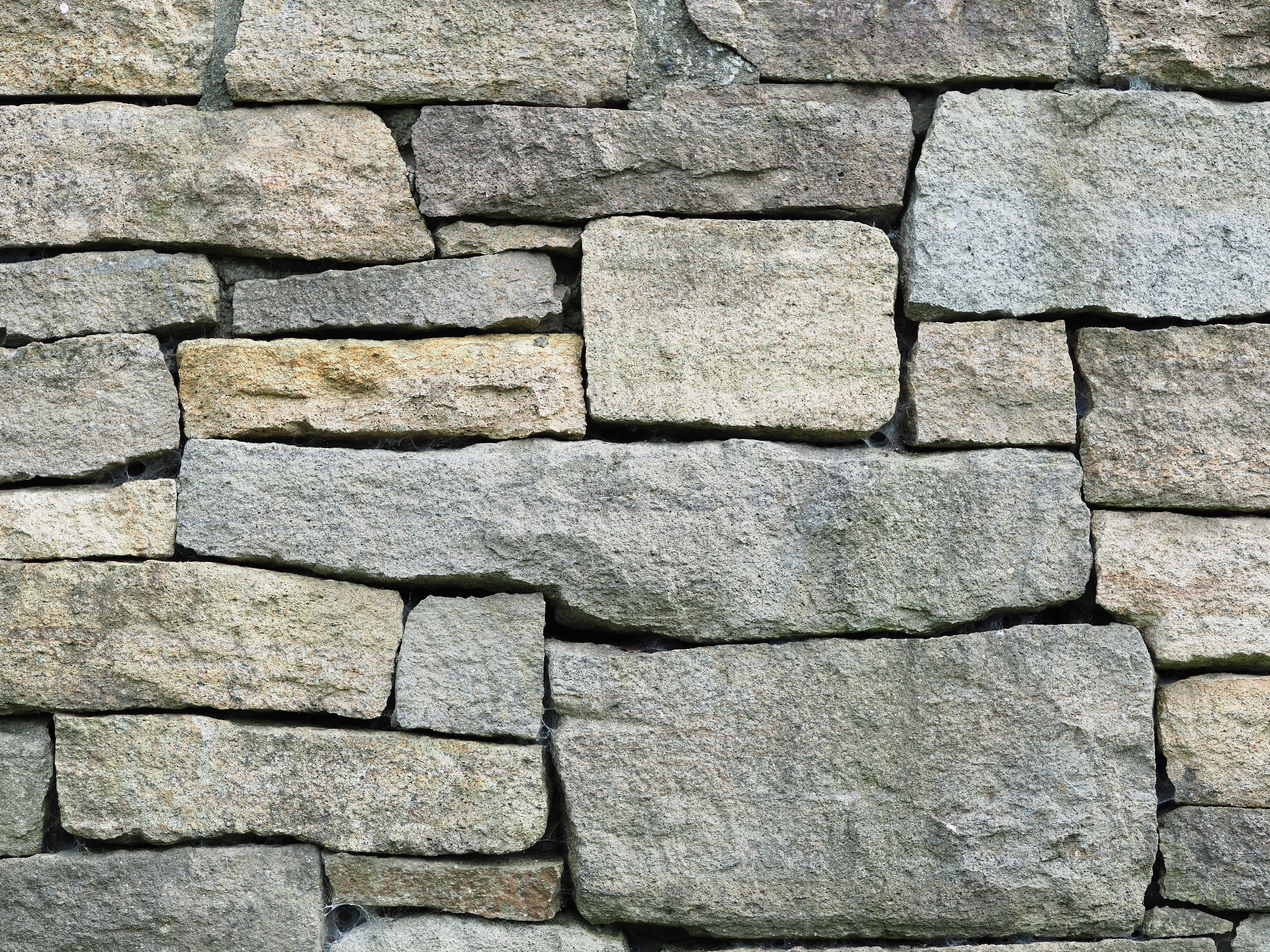 撮影距離：約2.0m。F2.8