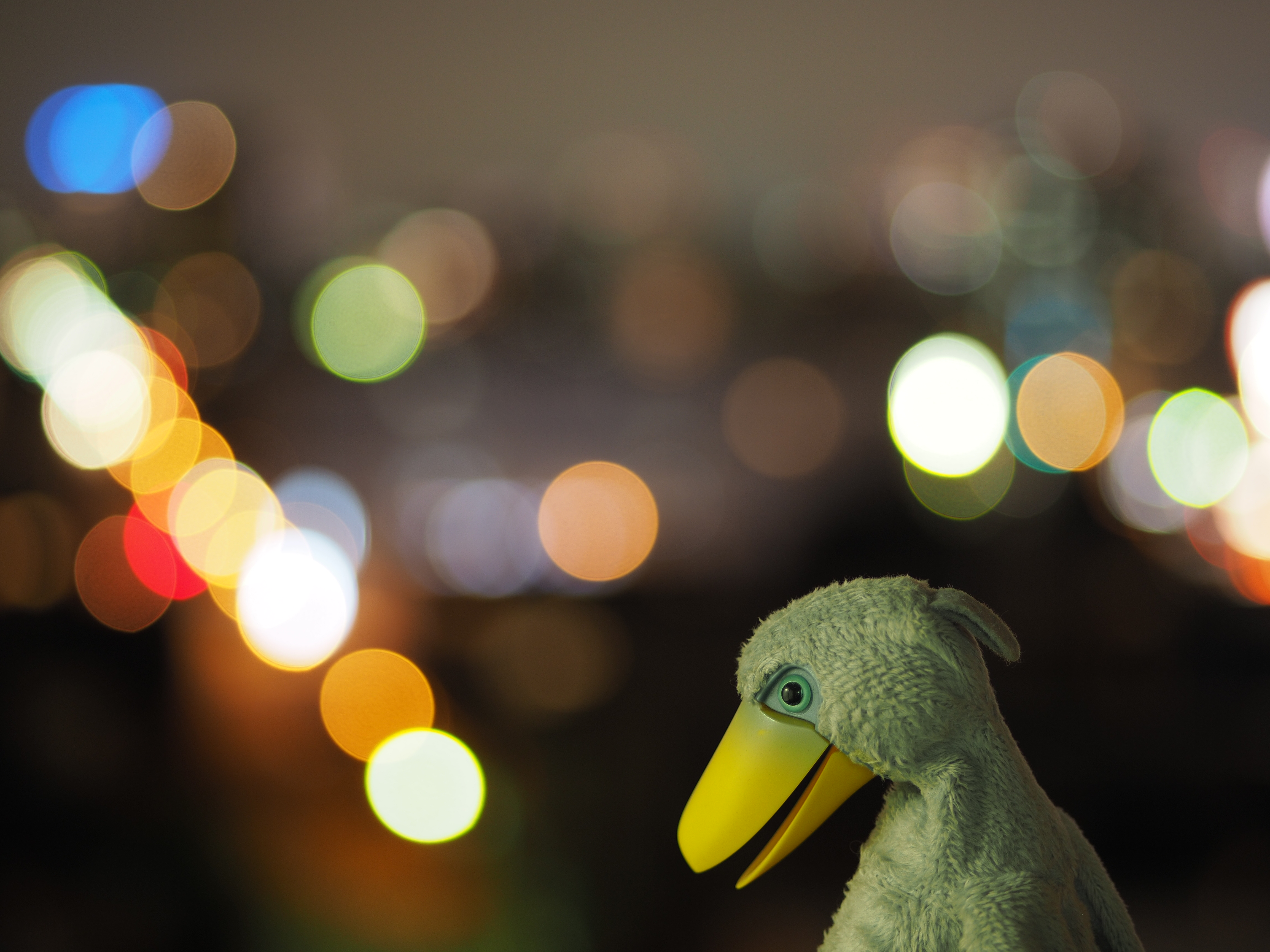 撮影距離：約0.8m。F1.7