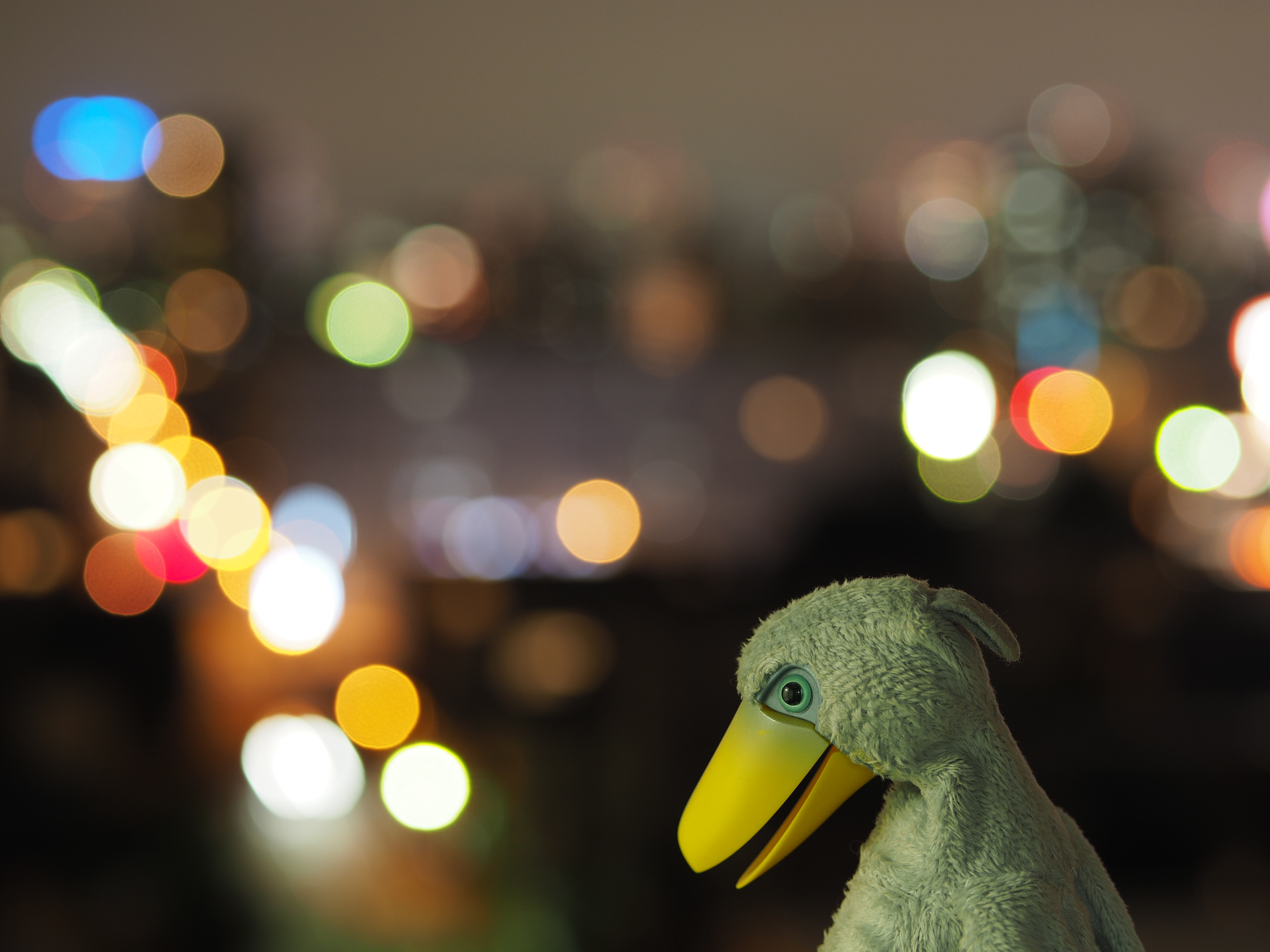 撮影距離：約0.8m。F2.5