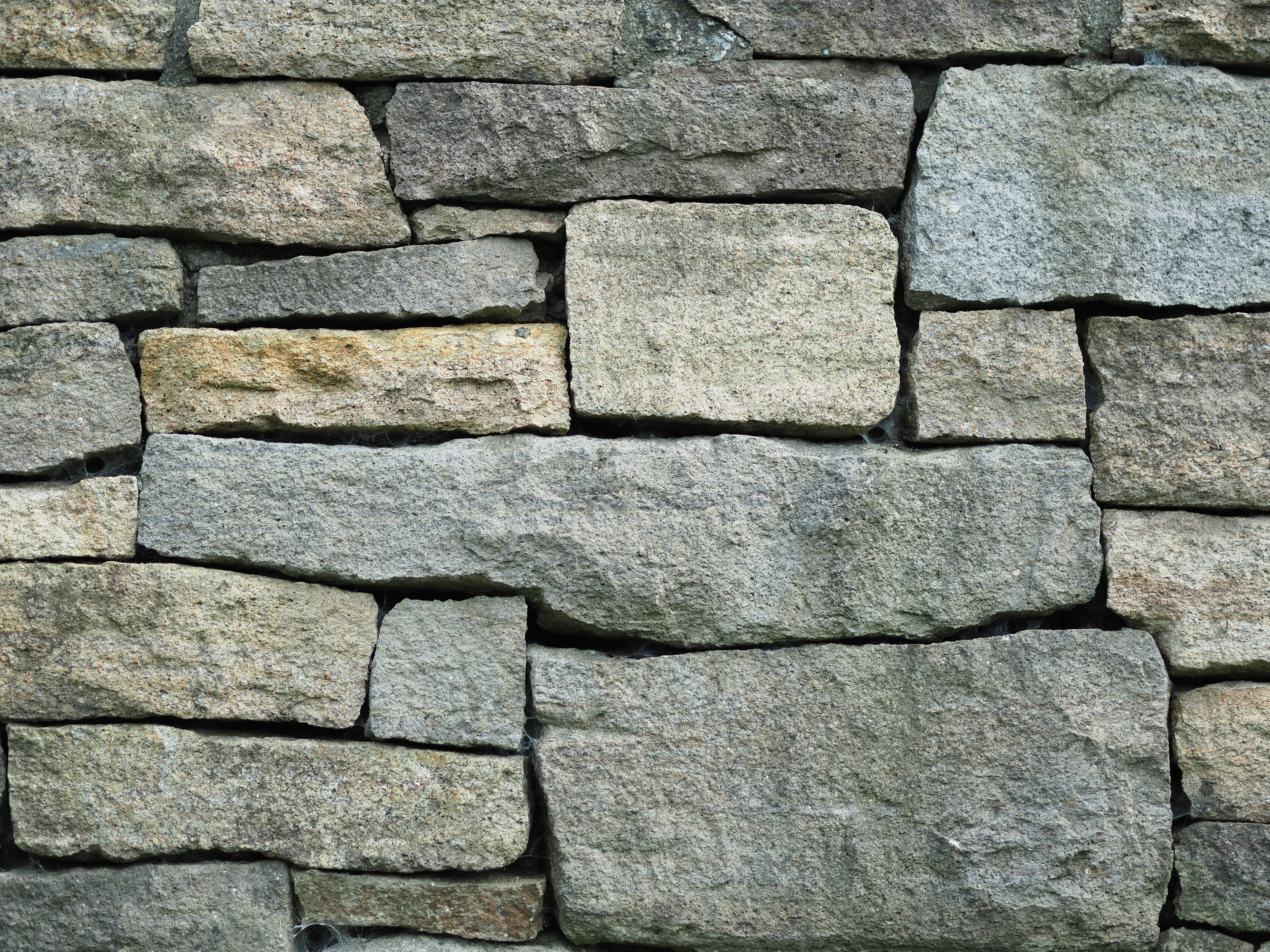 撮影距離：約2.0m。F1.8