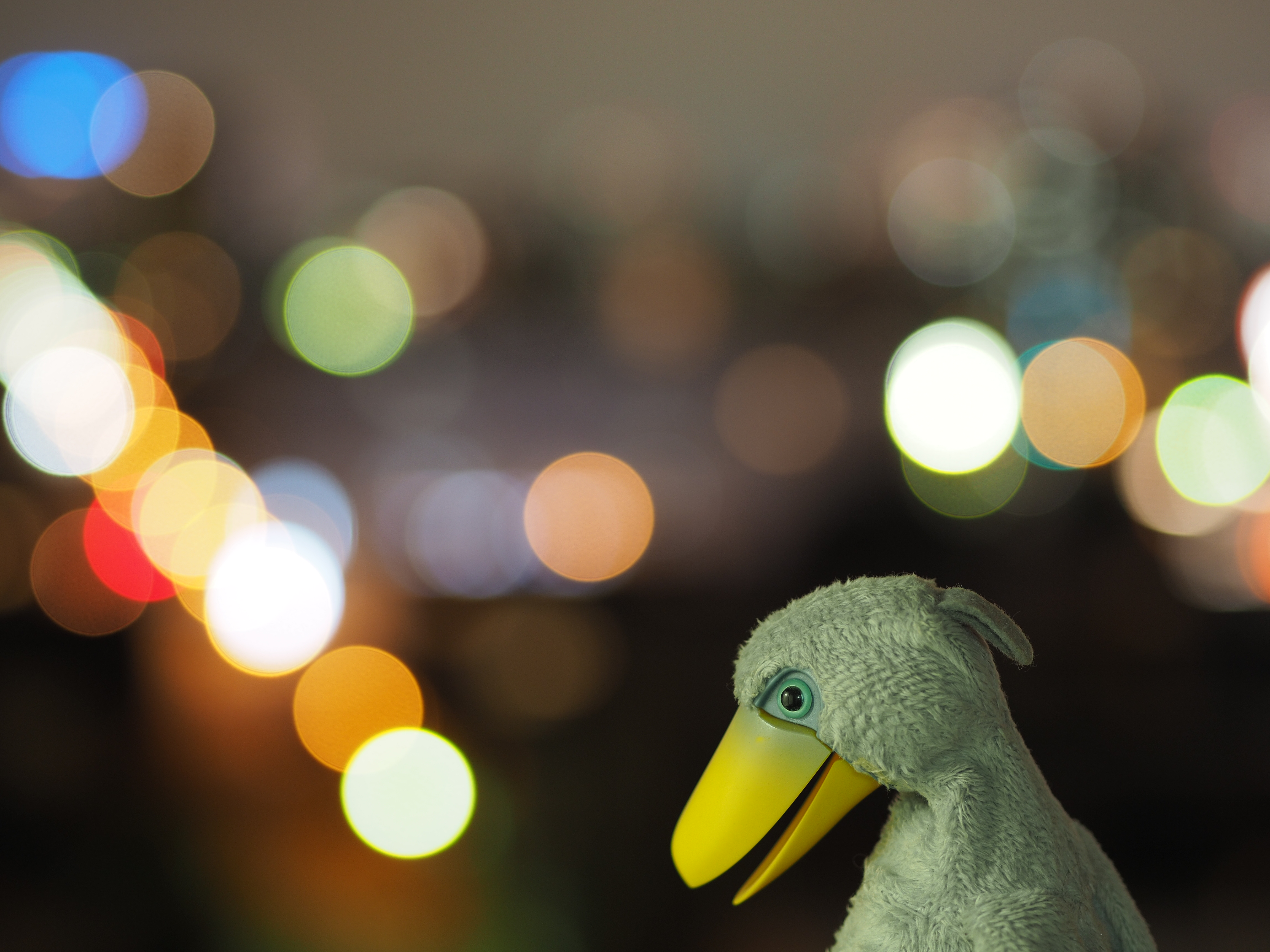 撮影距離：約0.8m。F1.8