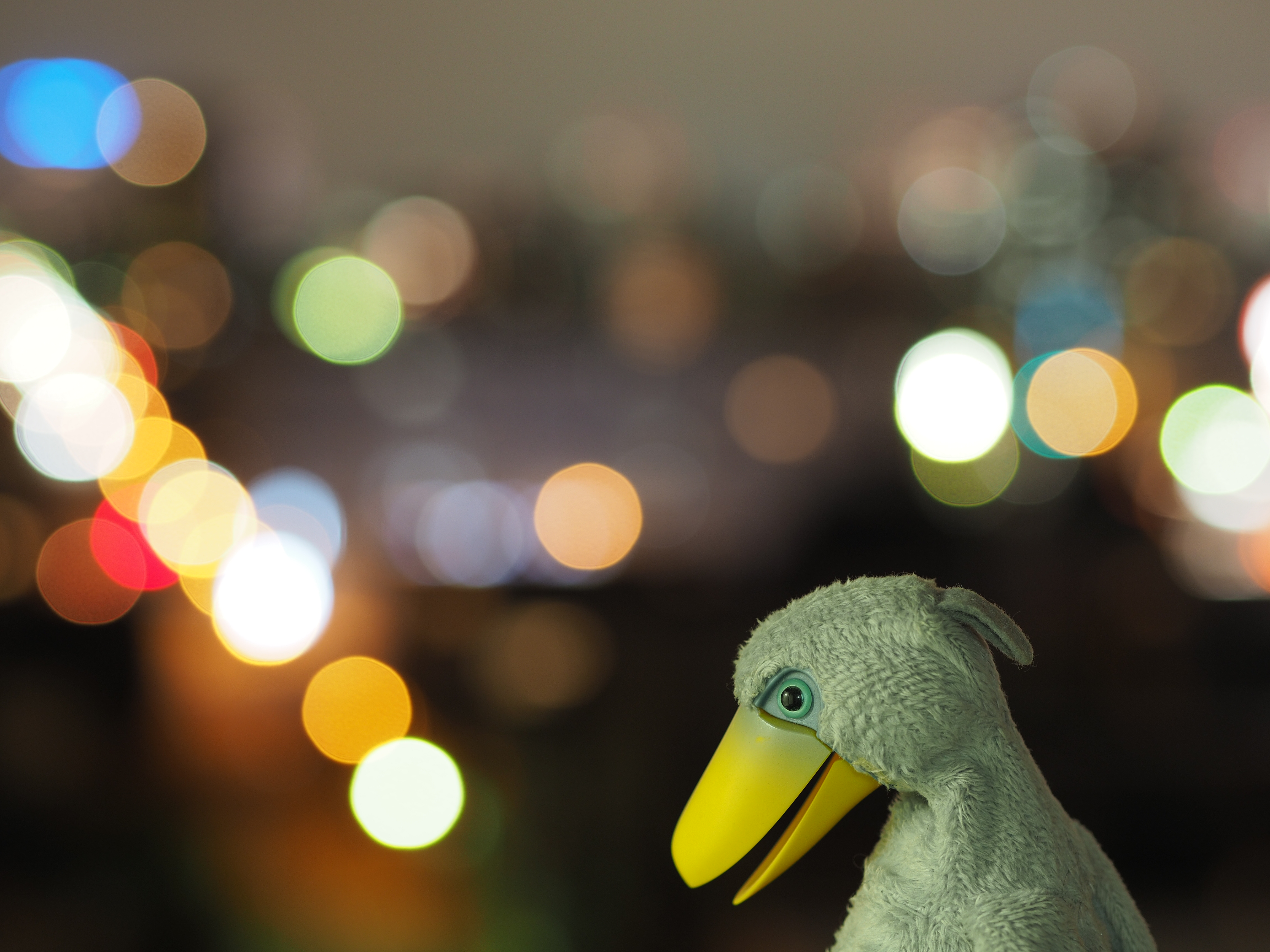 撮影距離：約0.8m。F2.2