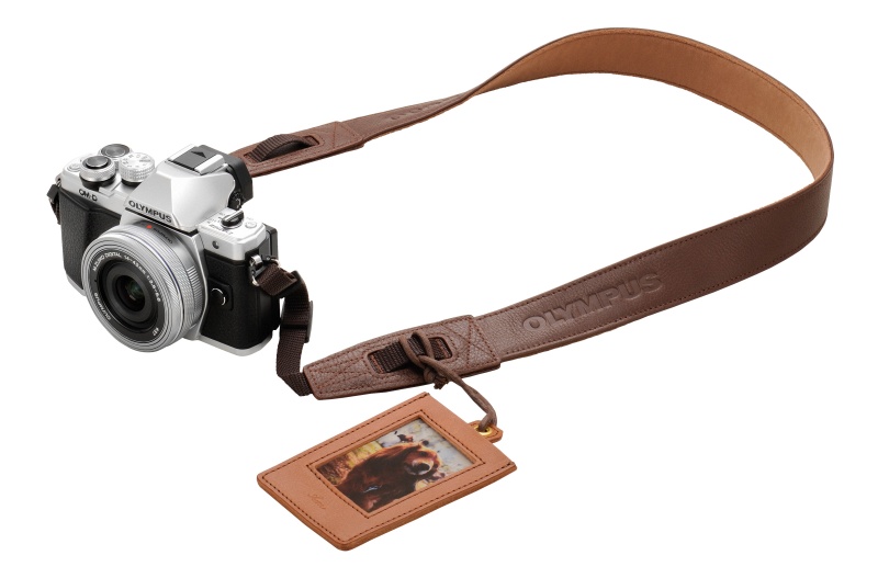 デコレーション例。ストラップ本体を除くアイテムはいずれも付属しない