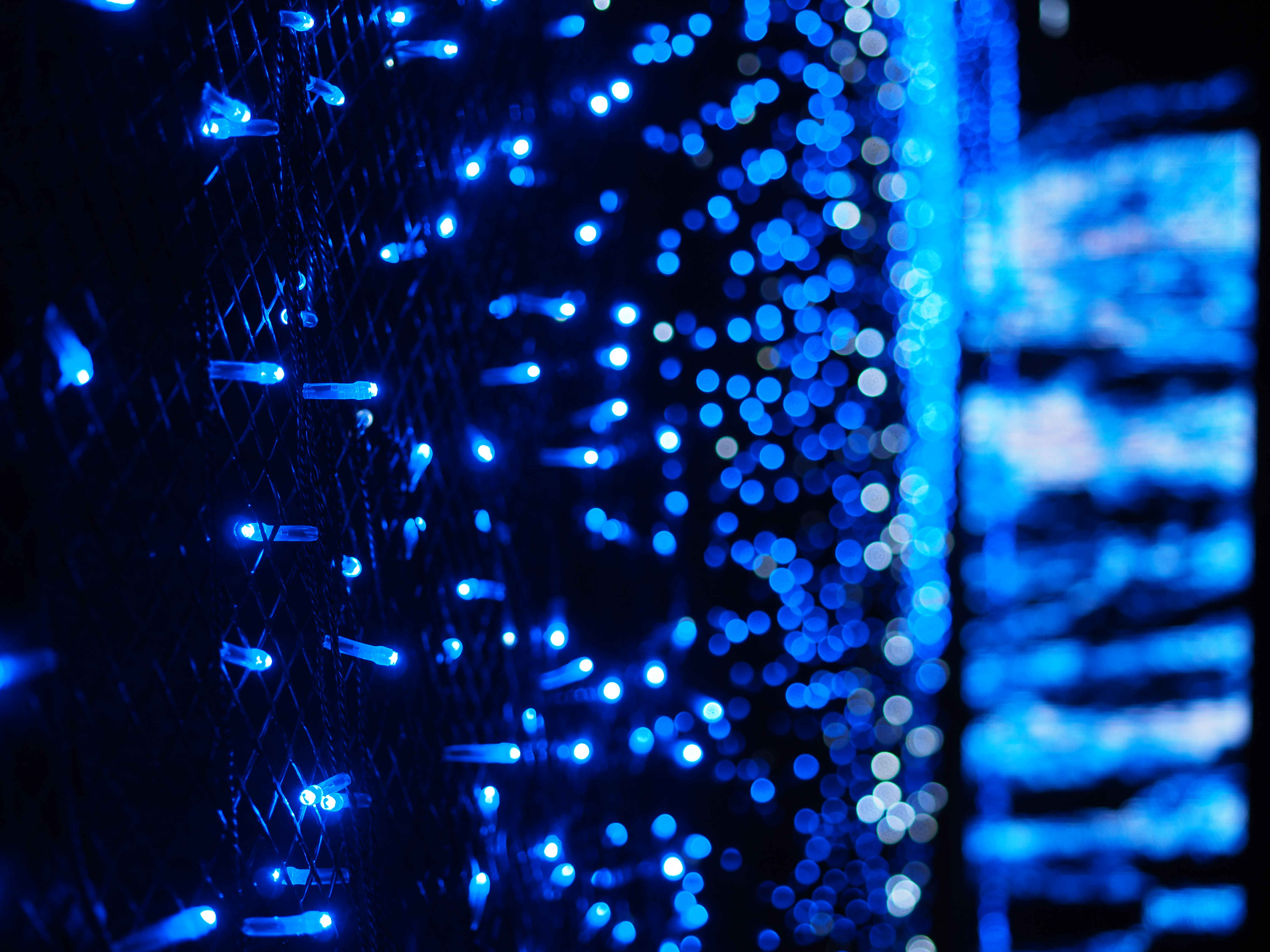 F1.8　1/100秒　　ISO320　WBオート　仕上がりビビッド