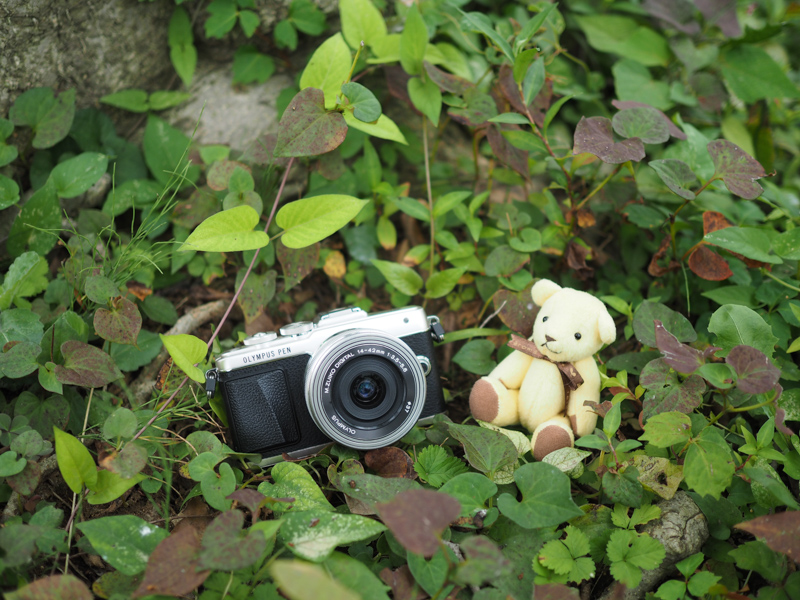 今回もOLYMPUS PEN Lite E-PL7を中心に撮影しています。