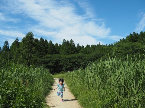 初心者あつまれ デジカメ撮影の基礎を学ぼう 光の方向を見て撮る 女子カメ Watch