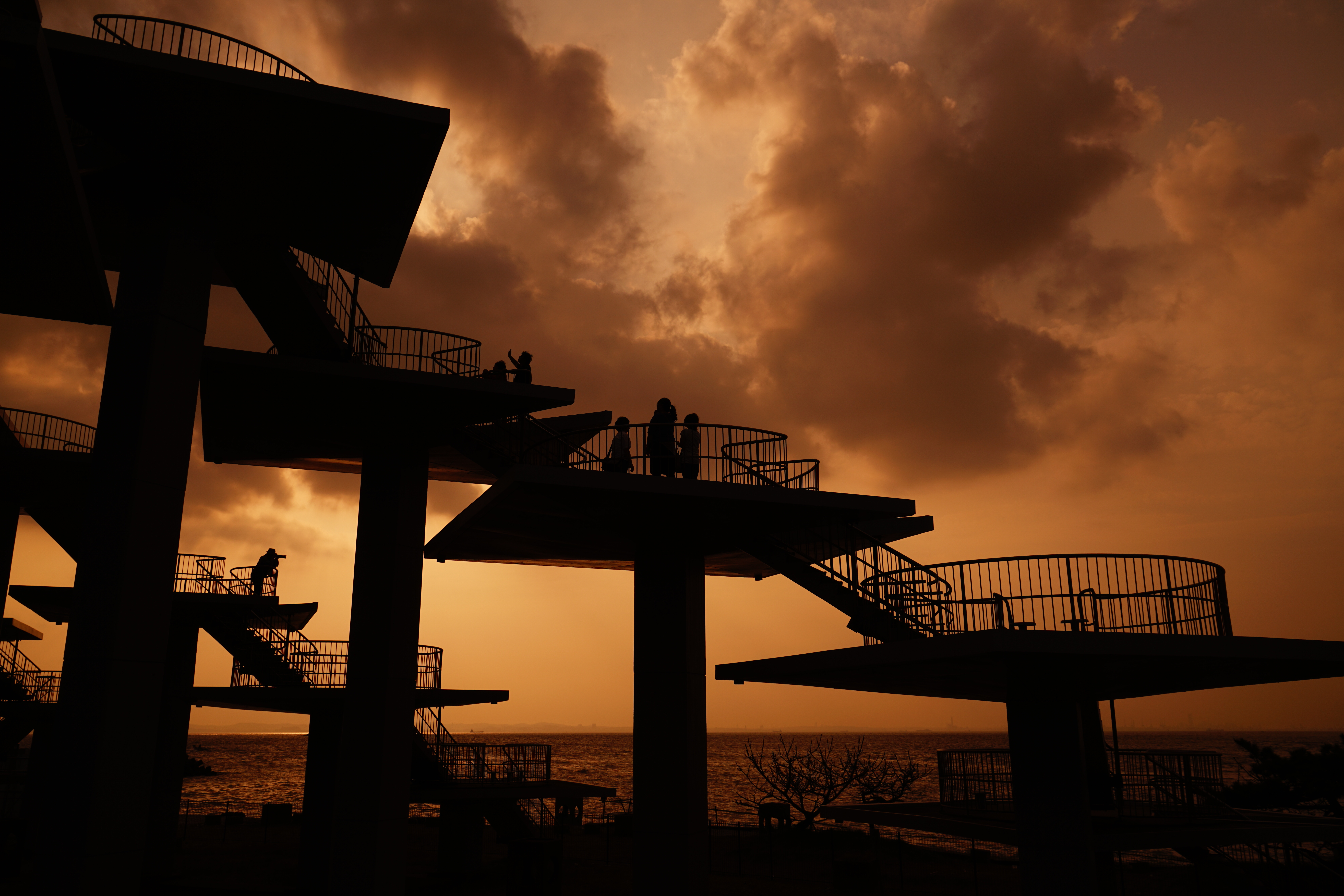 Vario-Tessar T* FE 24-70mm F4 ZA OSS / ISO100 / F8 / 1/1,600秒 / 29mm