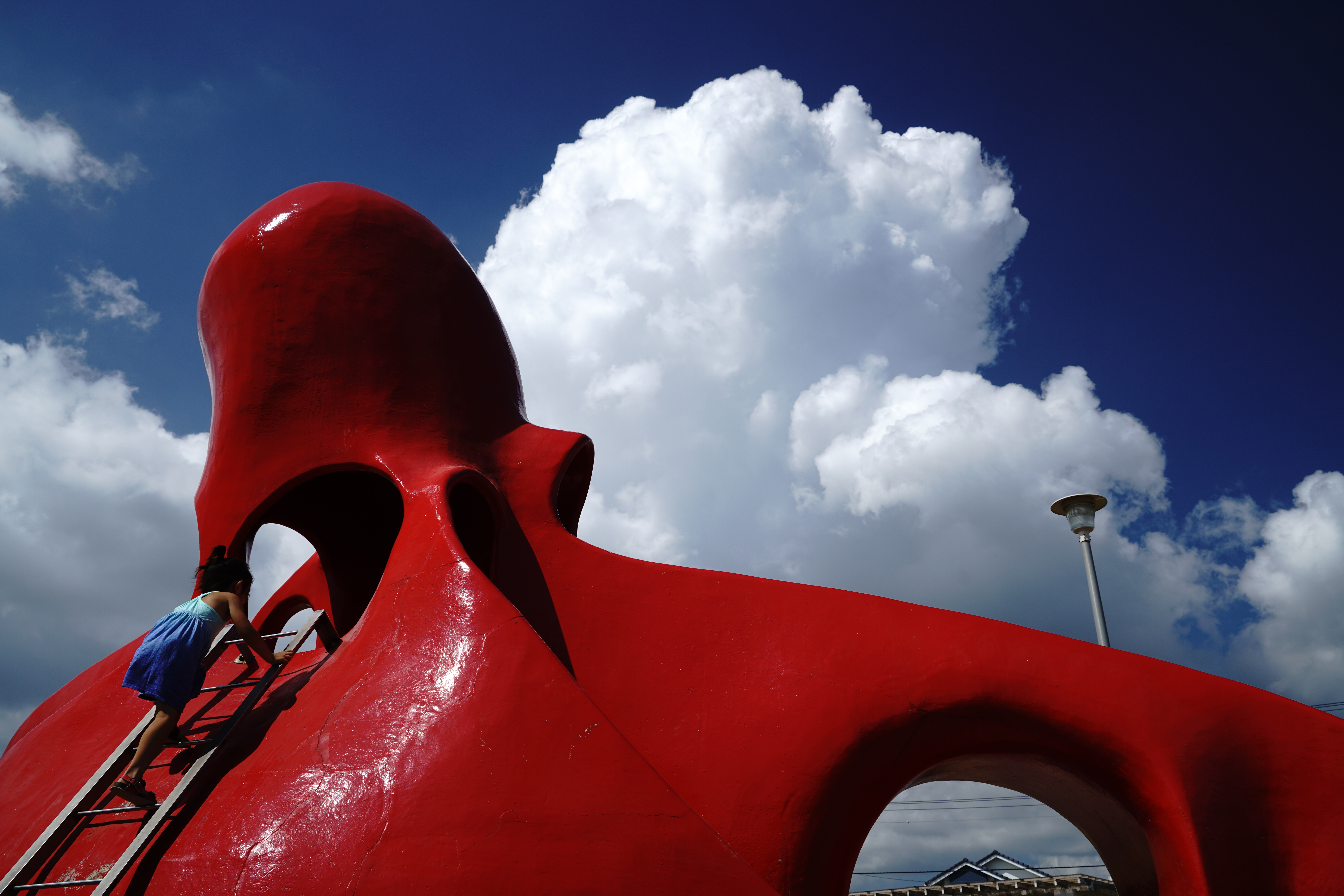 Vario-Tessar T* FE 24-70mm F4 ZA OSS / ISO100 / F8 / 1/250秒 / 30mm