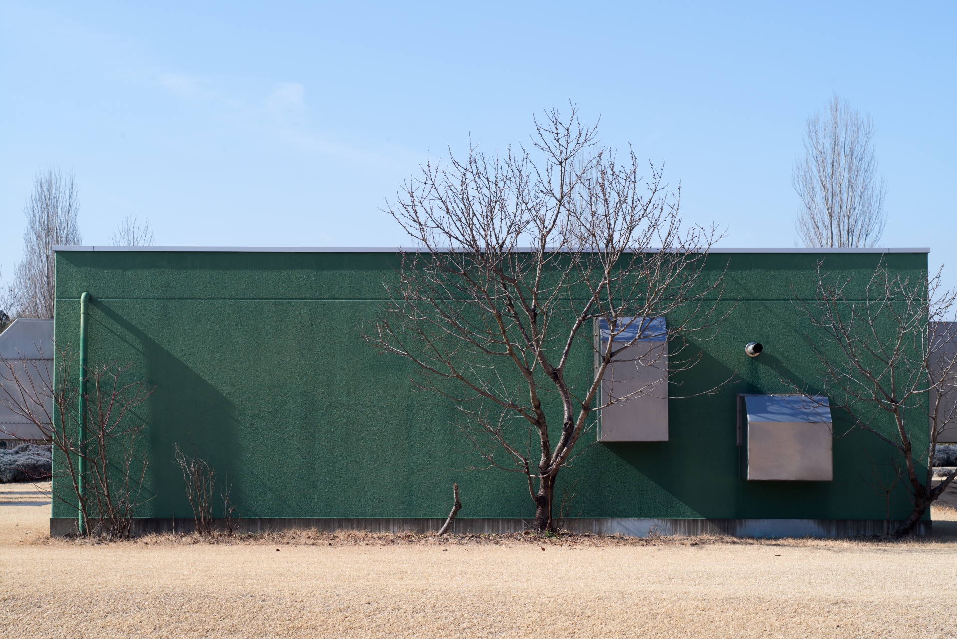 今回の作例の中ではほぼ唯一、絞って撮ったもの。絞り開放でも周辺画質はかなり良質だが、F5.6まで絞るとさらに周辺画質は向上し、画面全体が完全にプレーンな印象になる。LEICA M（Typ240） / ISO200 / F5.6 / 1/500秒 / WB:オート