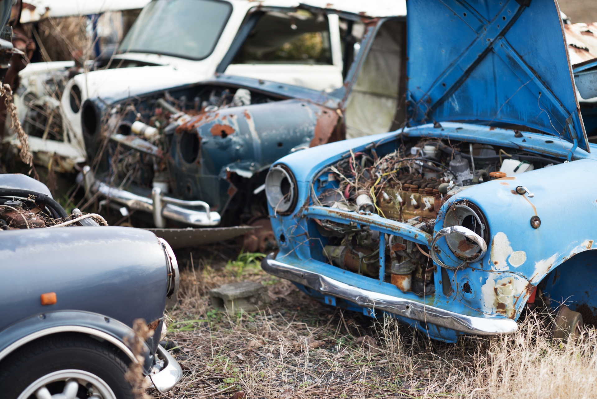 こうした中距離撮影でも合焦部分以外を軽くボカせるのが50mmとの違い。LEICA M（Typ240） / ISO200 / F2 / 1/750秒 / WB:オート