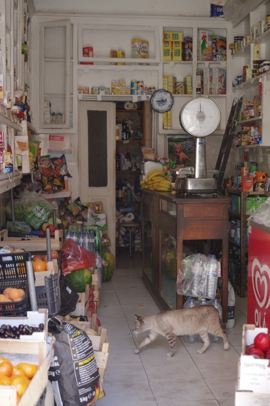 50mm相当・プログラムオート・F4・1/125秒・-0.7補正・ISO400・WB：オート・シングルAF