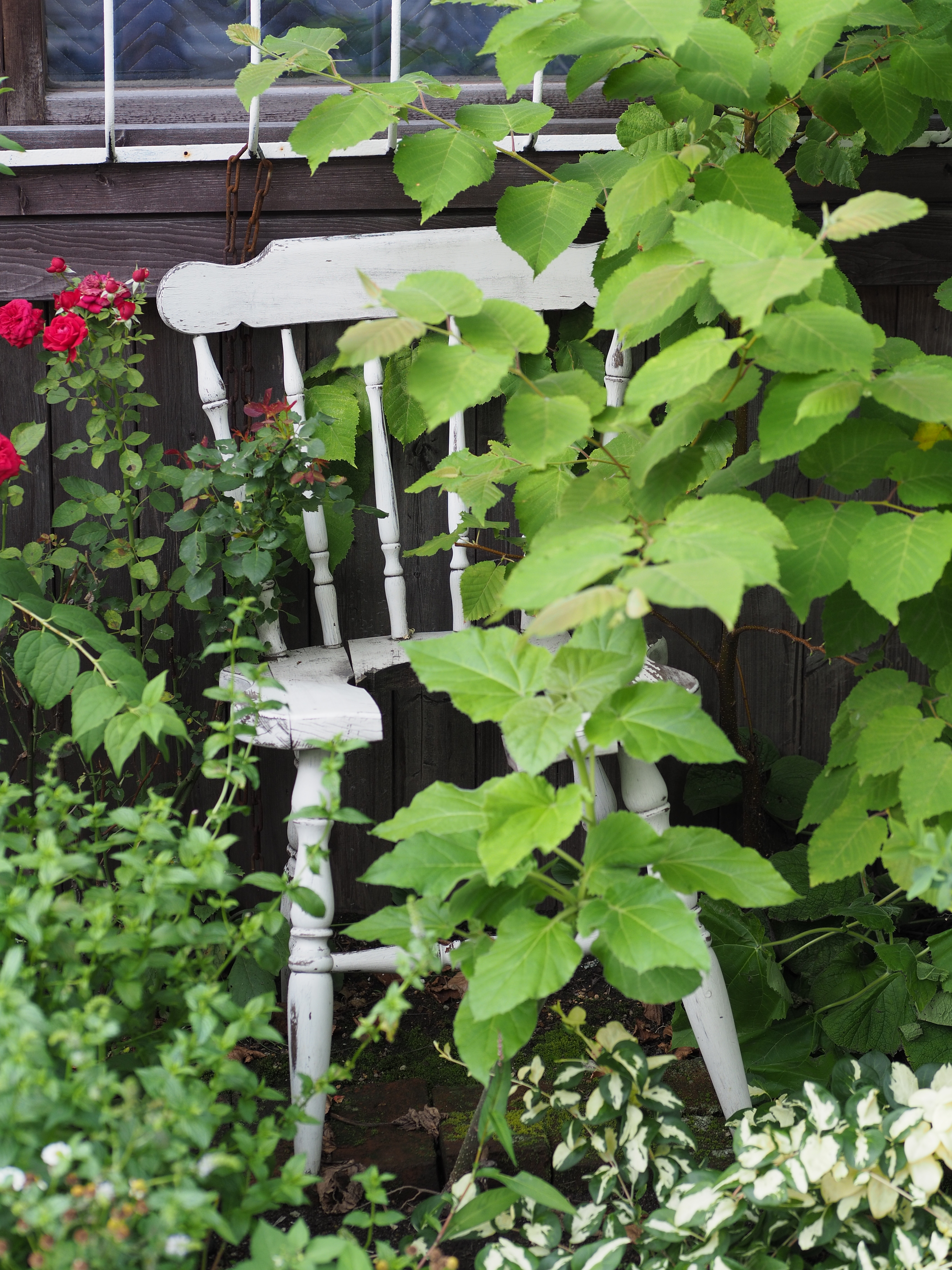 NOCTICRON 42.5mm F1.2 / ISO200 / F2.5 / 1/100秒