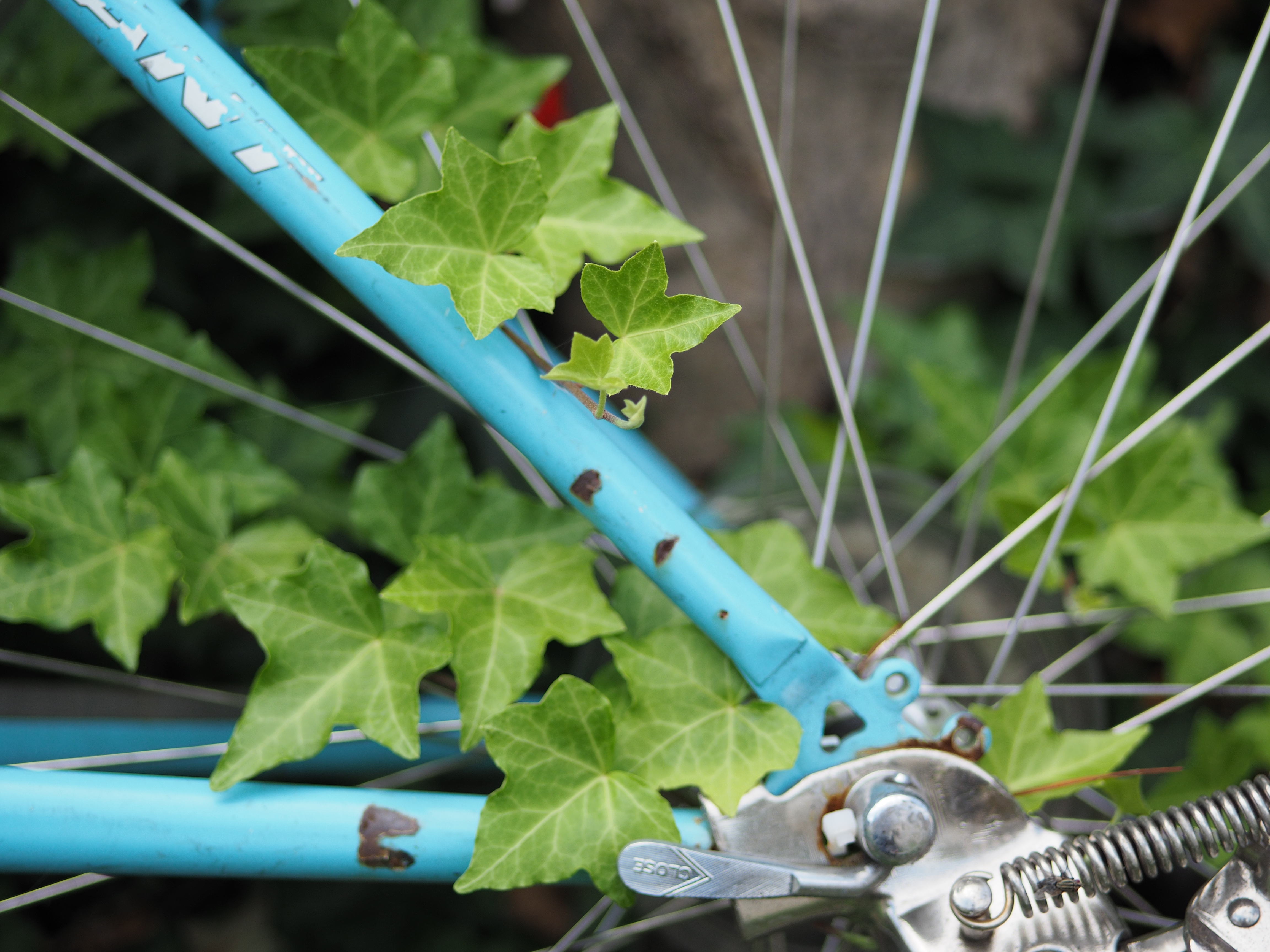 LUMIX G 42.5mm F1.7 / ISO200 / F1.7 / 1/2,500秒