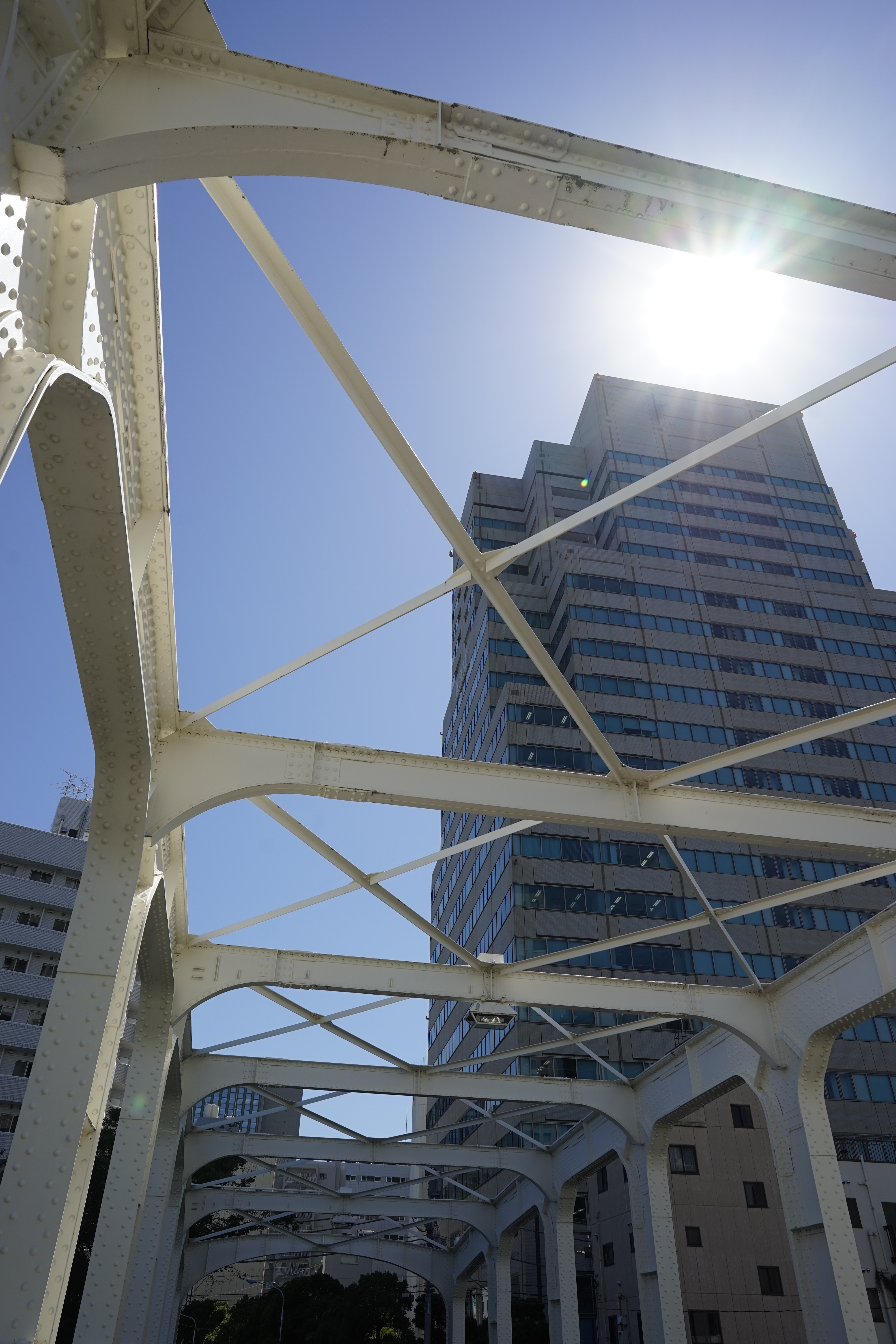 太陽が画面内に入る逆光で撮影。α7 / 1/320秒 / F8 / +0.7EV / ISO100 / 絞り優先AE / 25mm