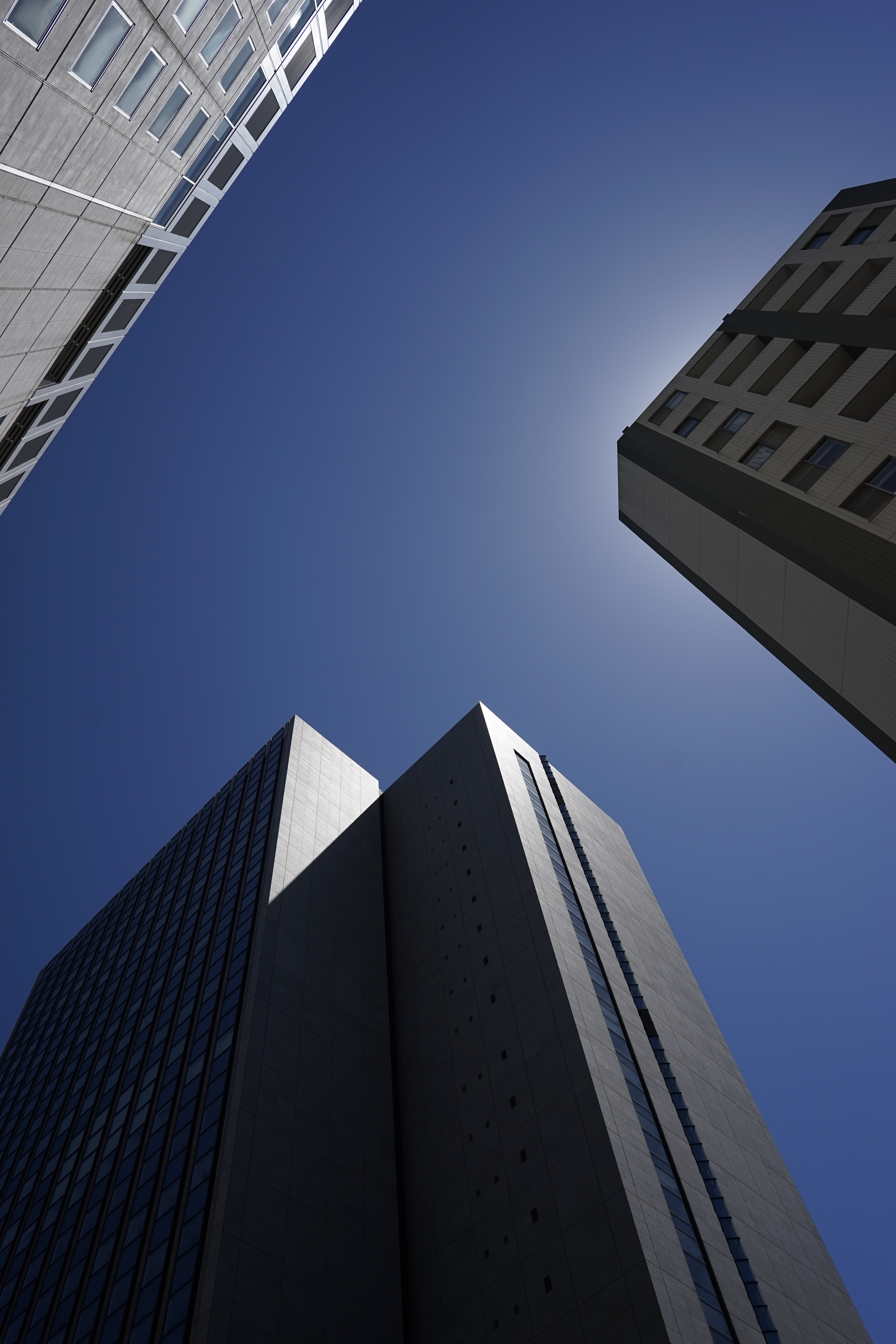 α7 / 1/1,250秒 / F5.6 / 0EV / ISO100 / 絞り優先AE / 25mm