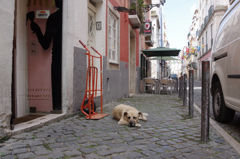 28mm相当・プログラムオート・F5.6・1/125秒・-0.3補正・ISO200・WB：太陽光・シングルAF