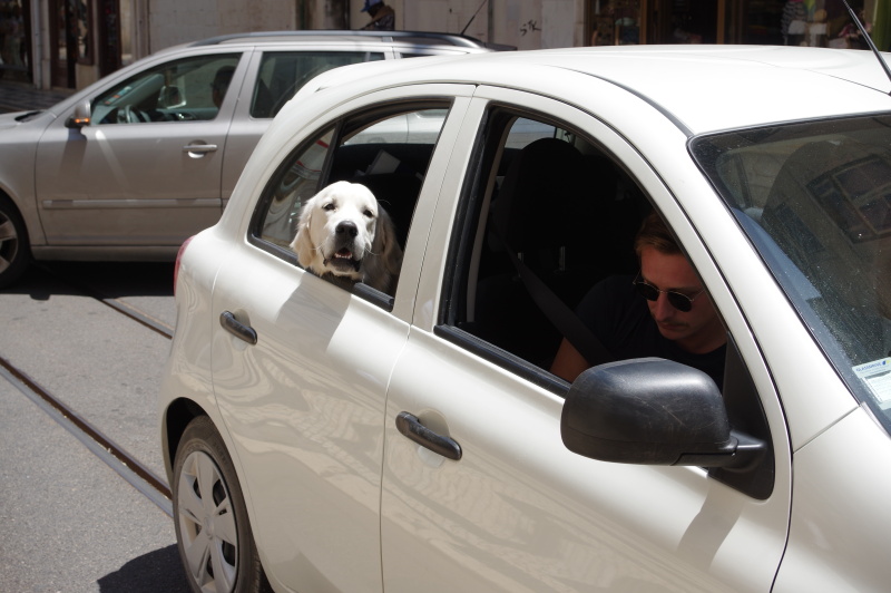 50mm相当・プログラムオート・F8・1/250秒・ISO200・WB：太陽光・シングルAF