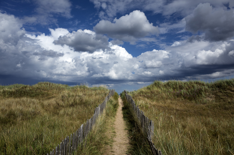 28mm相当・プログラムオート・F5.6・1/1,000秒・ISO100・WB：太陽光・シングルAF