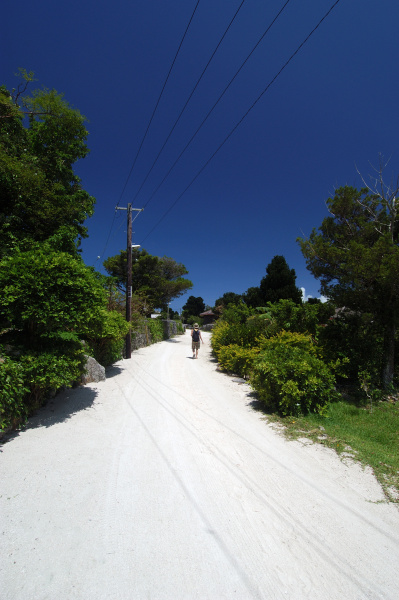 18mm相当・絞り優先オート・F8・1/250秒・ISO100・WB：太陽光・シングルAF