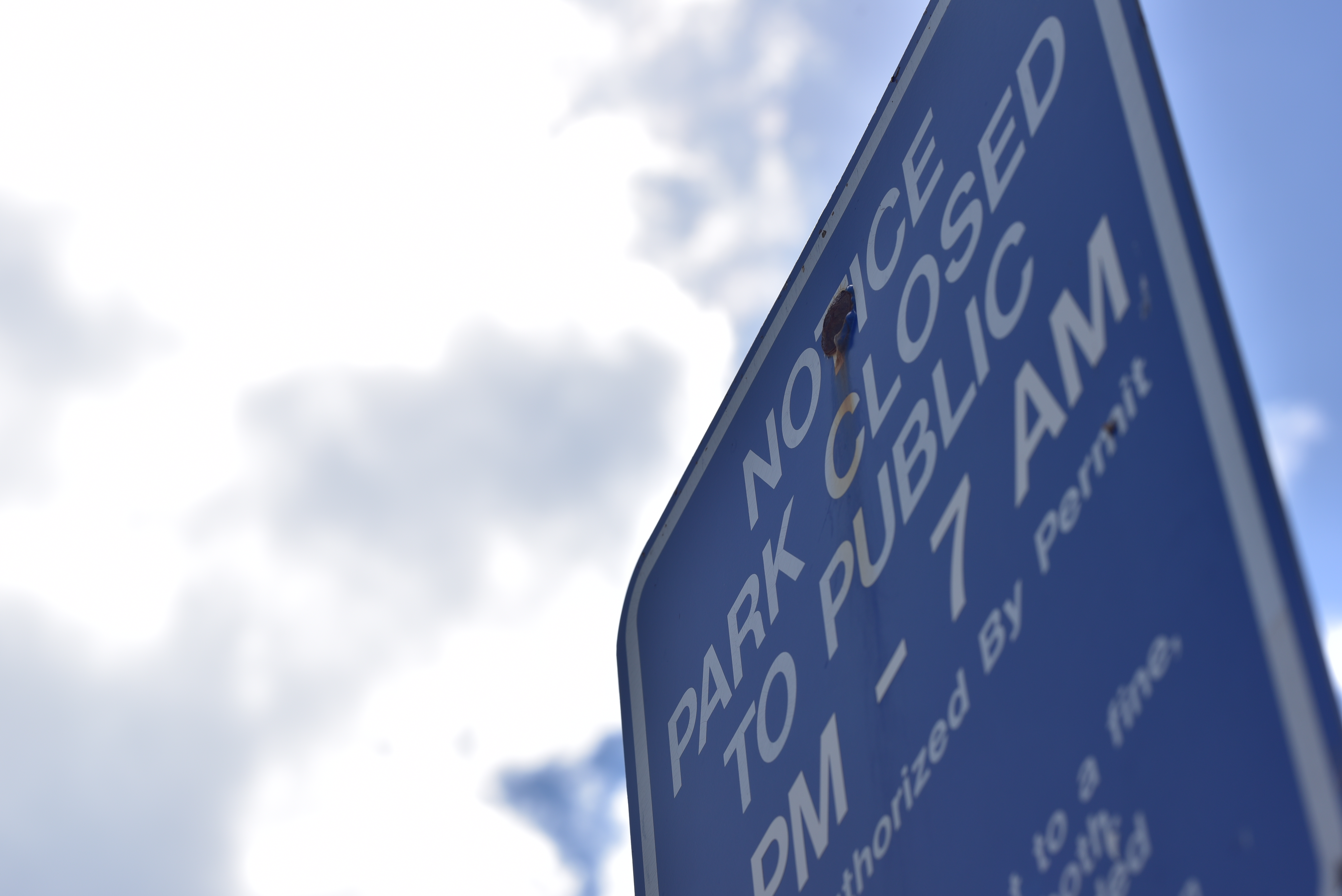 太陽が画面内に入る逆光で撮影。D750 / 1/500秒 / F8 / +1EV / ISO100 / 絞り優先AE / 85mm