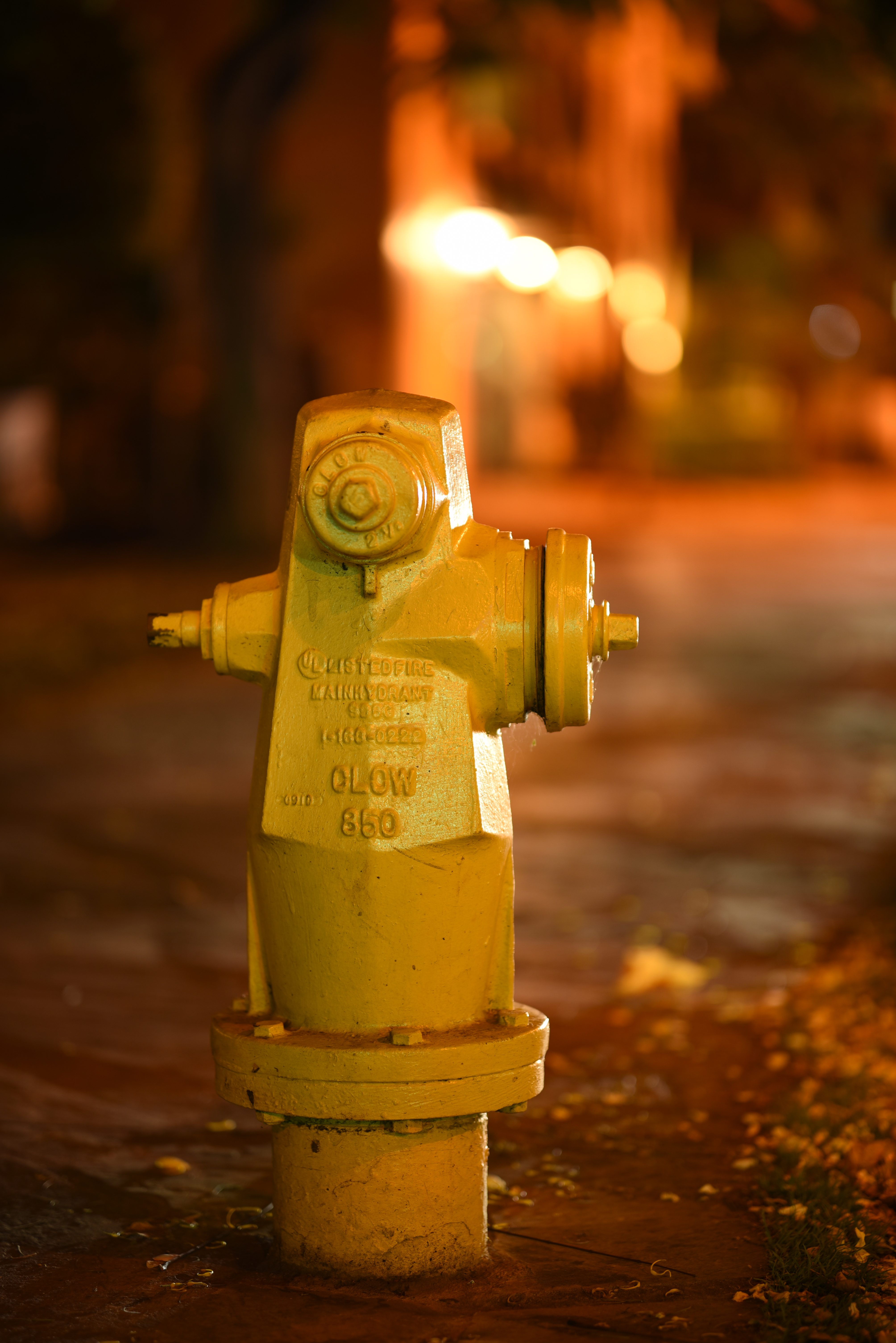 D750 / 1/2秒 / F1.4 / +0.3EV / ISO100 / 絞り優先AE / 85mm