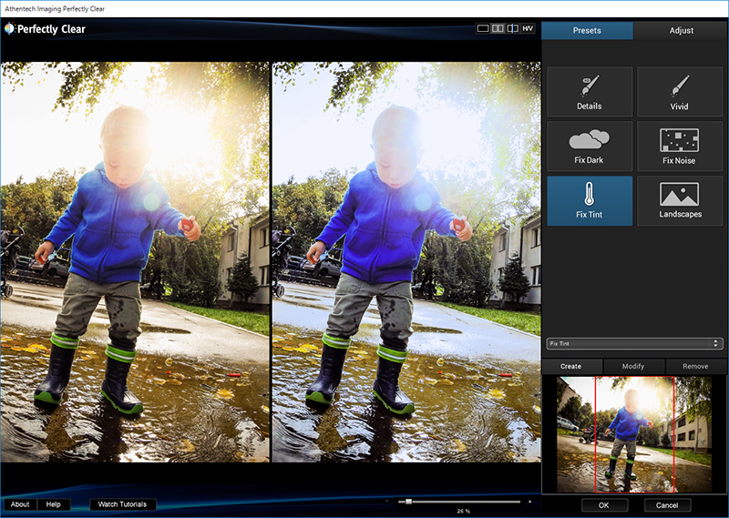 Perfectly Clear 2 SE（Ultimateのみ）