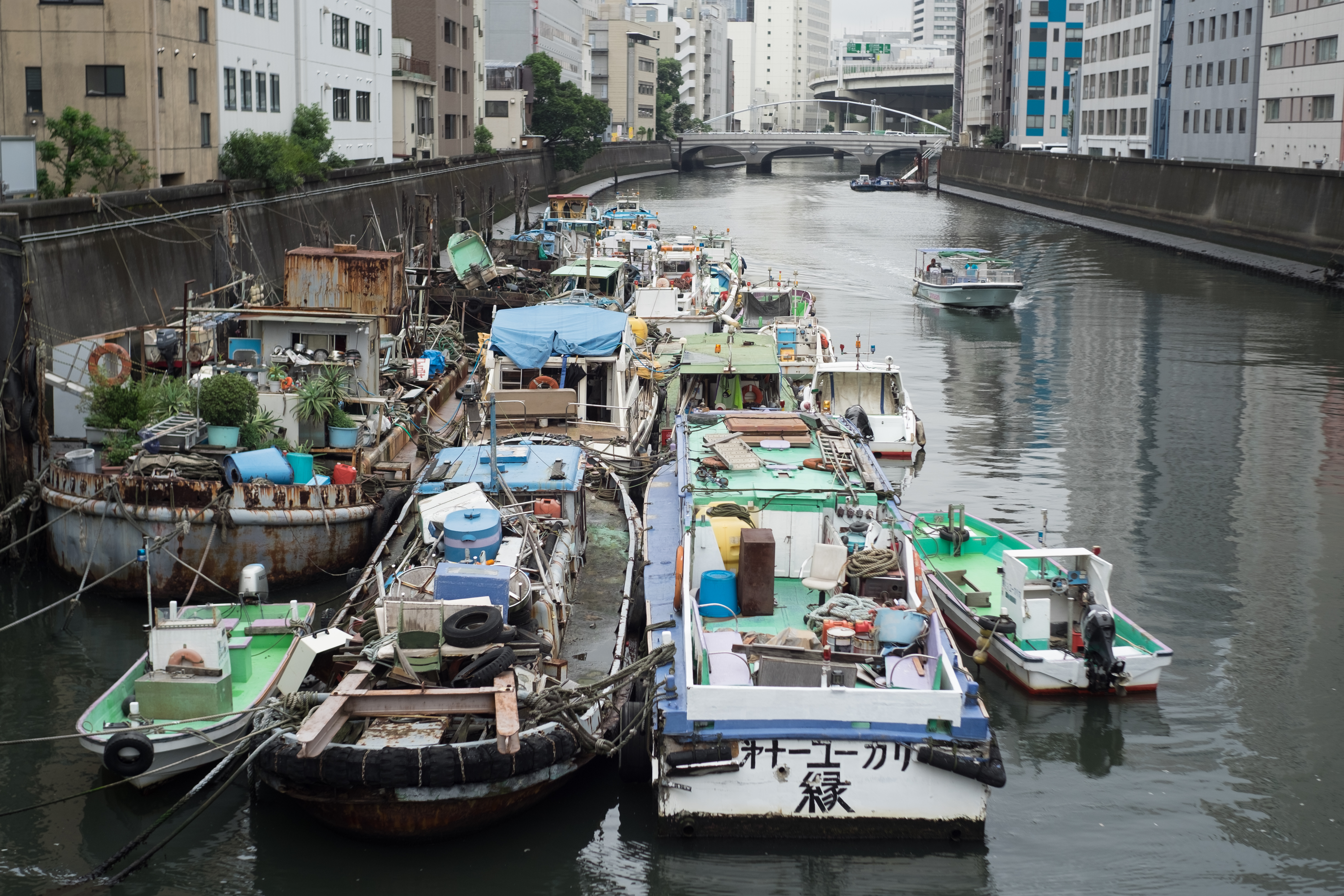 X-T10 / Summilux-M 35mm F1.4 / 1/1,000秒 / F2.8 / ±0EV / ISO200 / WB:オート
