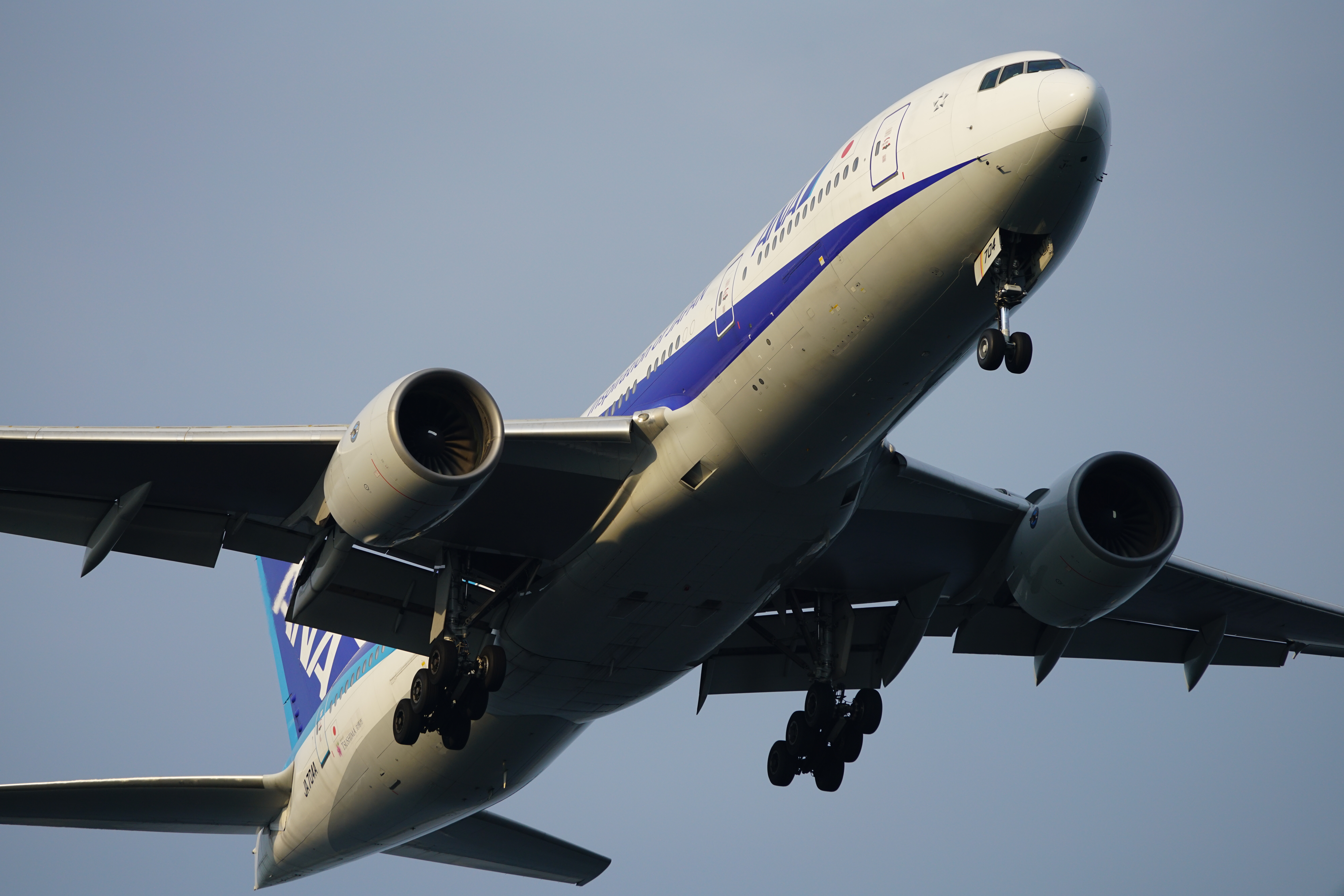 ソニー α7R II／70-400mm F4-5.6 G SSM II／330mm／シャッター優先AE（F5.6、1/2,000秒、-0.7EV）／ISO 400／WB：太陽光