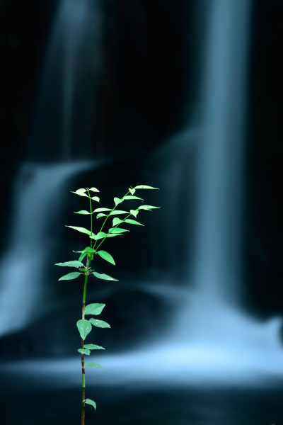 同じ場所で違ったイメージを狙ってみよう（写真：萩原俊哉）