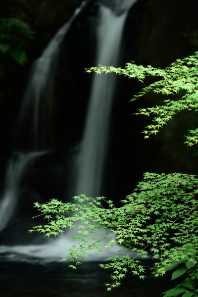 同じ場所で違ったイメージを狙ってみよう（写真：萩原俊哉）