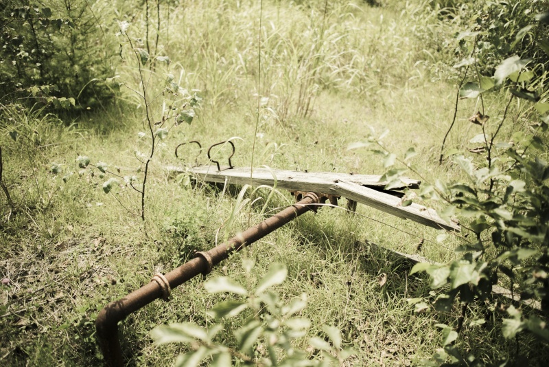 ニコンD750／AF-S NIKKOR 28mm f/1.8G／28mm／絞り優先AE（F2、2,500秒、-1.0EV）／ISO 64／WB：オート