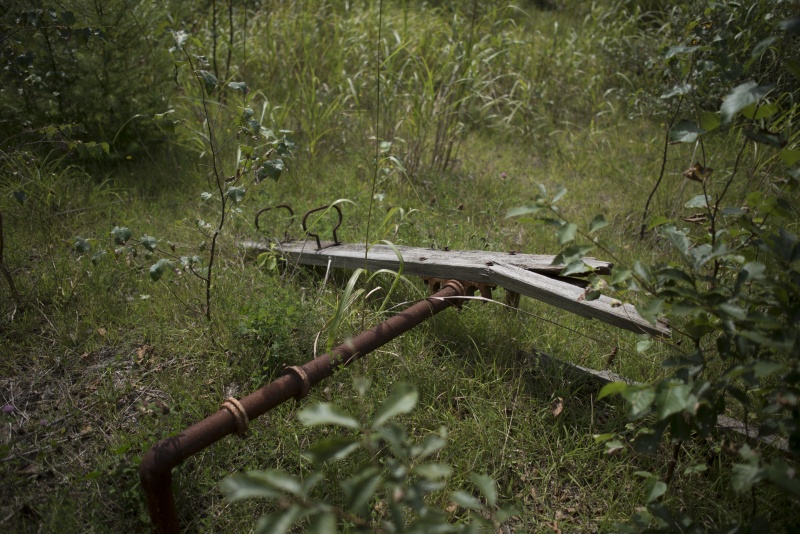 <strong class="">WBオートの場合</strong><br class="">WBはオートのままで、グリーンをかぶせると、色味が濃くなる。このように濃い緑色では懐かしさを感じることができない