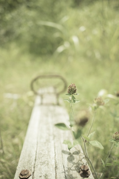 ニコンD750／AF-S NIKKOR 28mm f/1.8G／28mm／絞り優先AE（F2、1/4,000秒、-1.0EV）／ISO 64／WB：オート