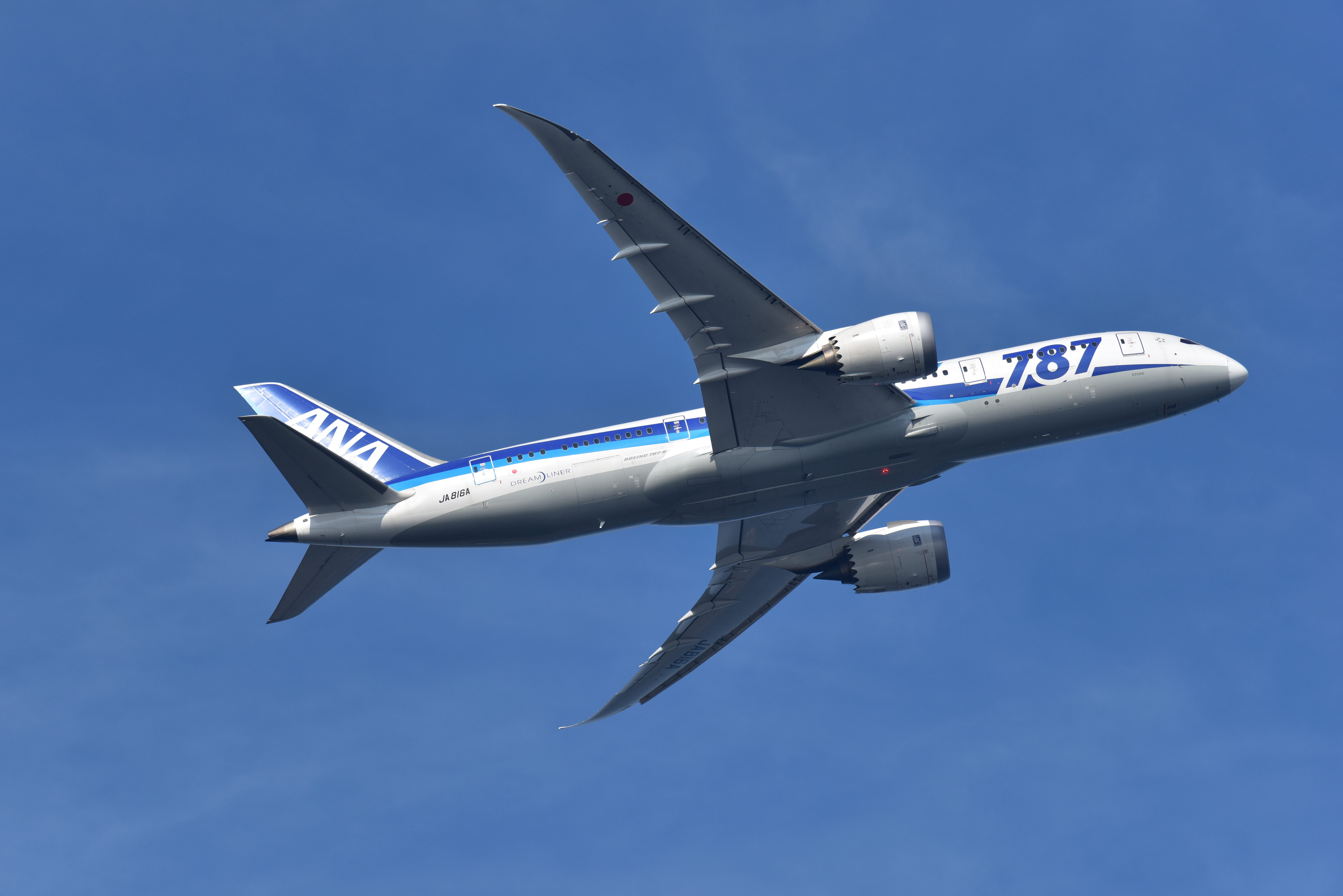 D810 / 1/1,600秒 / F5.6 / 0EV / ISO560 / シャッター優先 / 340mm