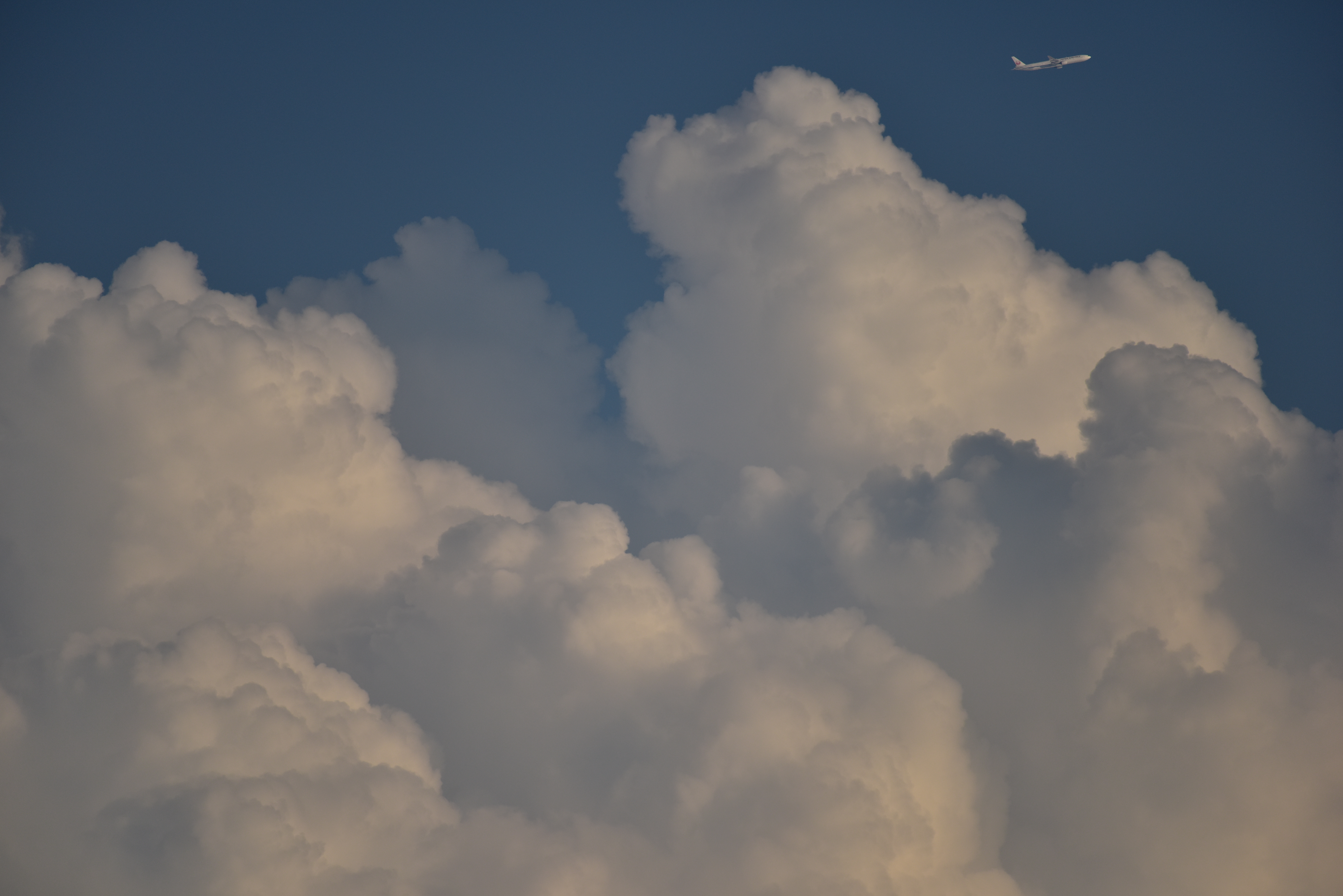 D810 / 1/1,000秒 / F5.6 / 0EV / ISO360 / シャッター優先 / 500mm