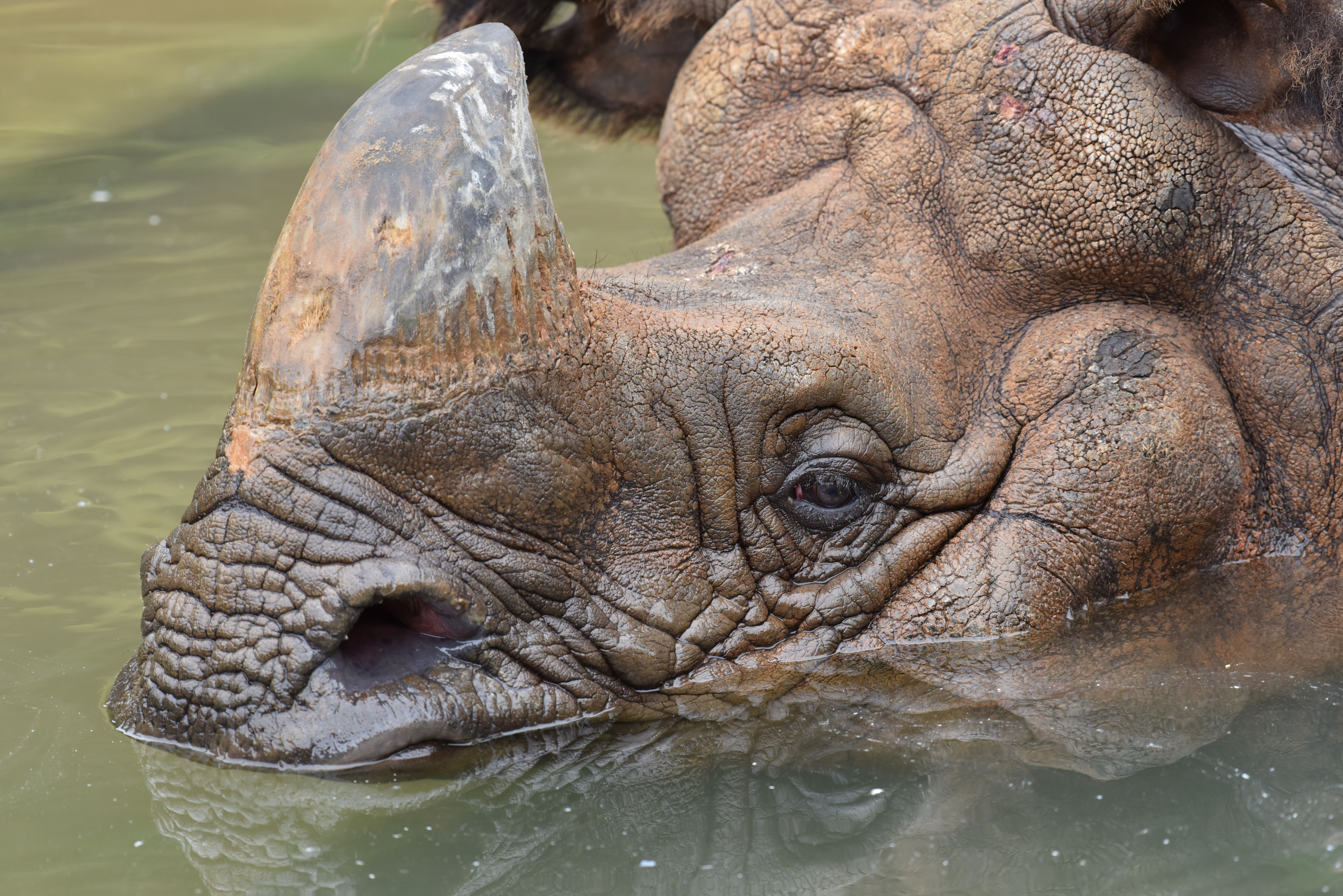 D810 / 1/320秒 / F5.6 / -0.3EV / ISO720 / シャッター優先 / 380mm