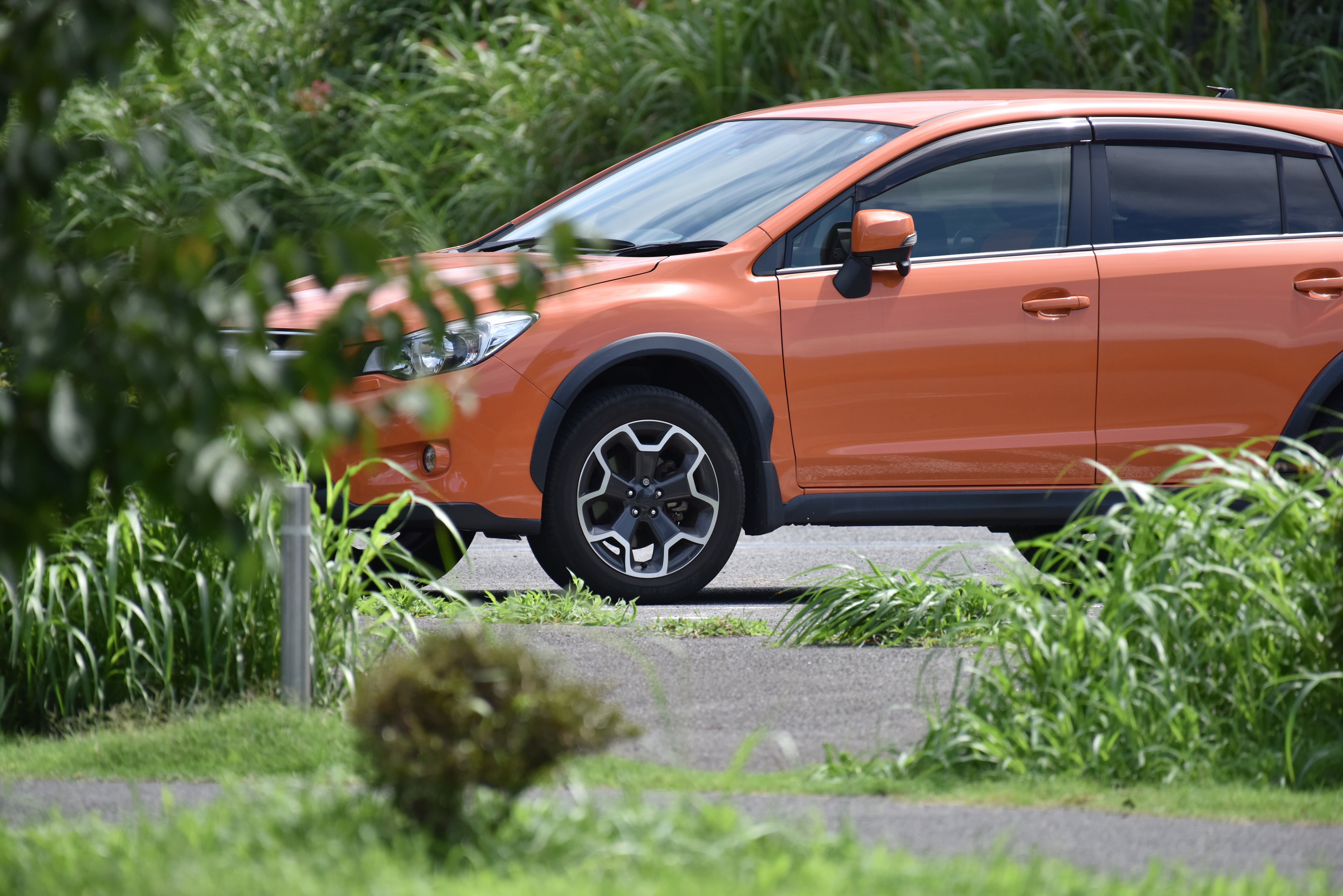 D810 / 1/2,000秒 / F5.6 / -0.3EV / ISO720 / シャッター優先 / 500mm