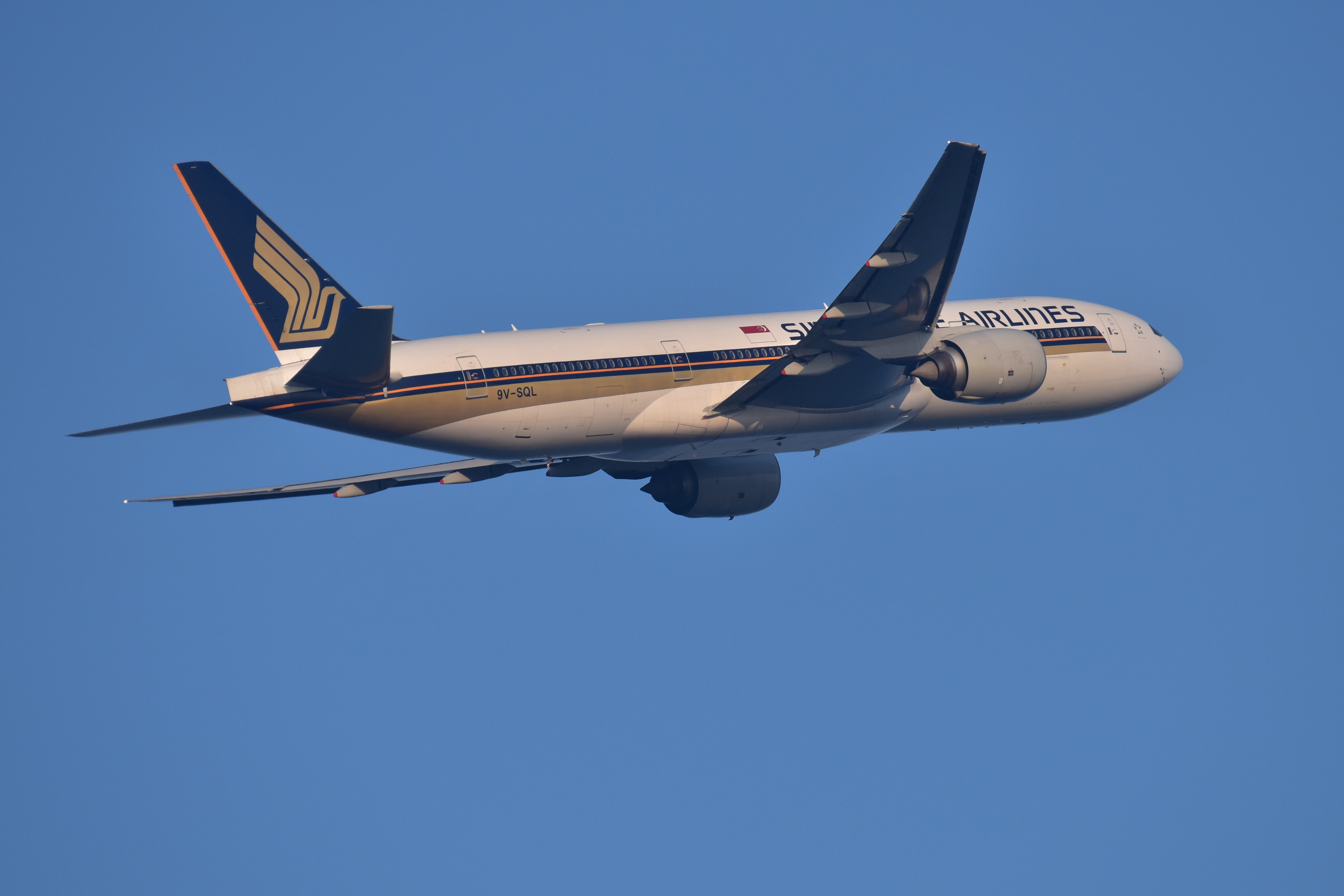 D810 / 1/1,600秒 / F7 / 0EV / ISO500 / マニュアル露出 / 500mm