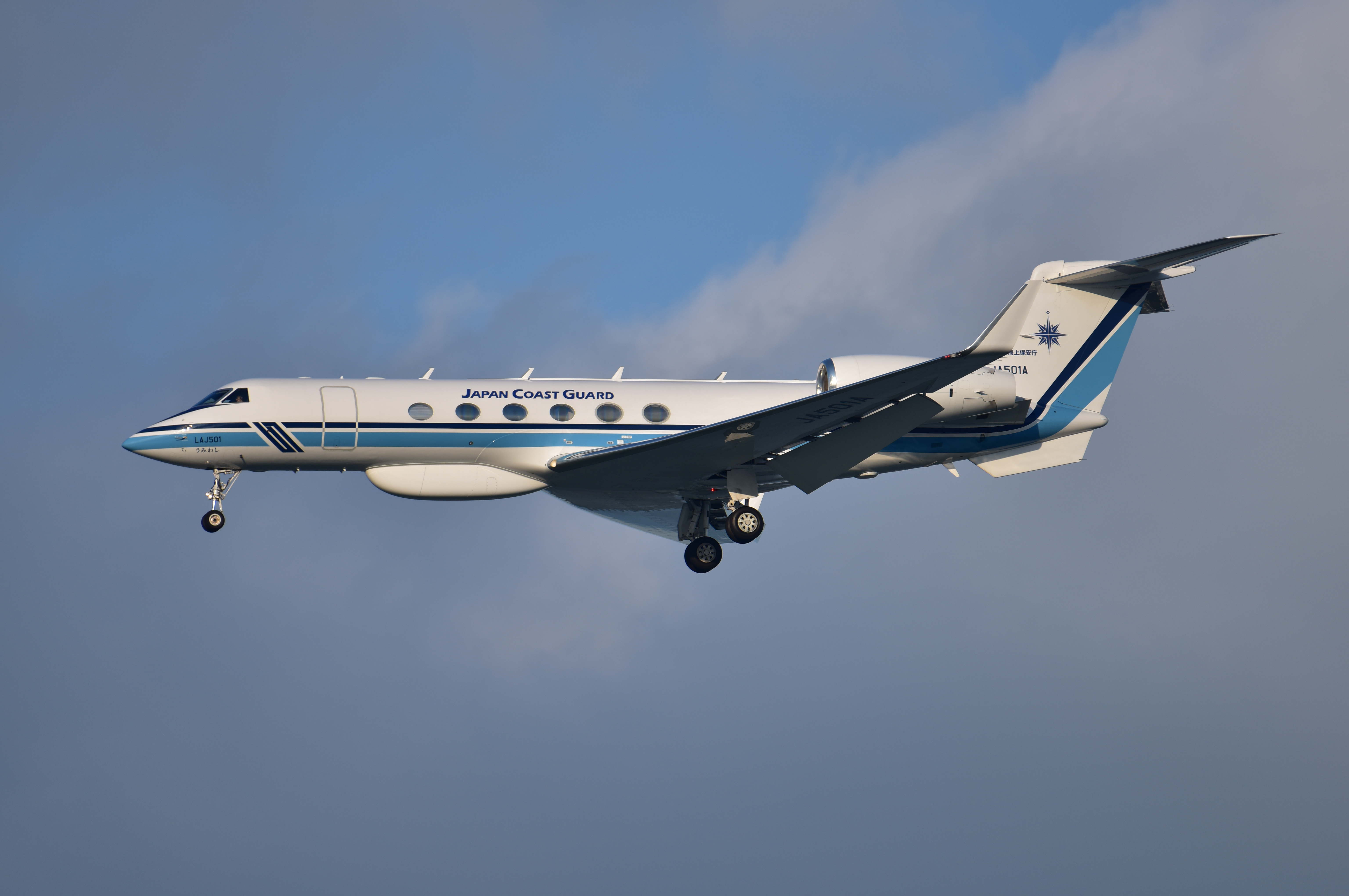 D810 / 1/1,000秒 / F6.3 / +0.3EV / ISO160 / シャッター優先 / 500mm