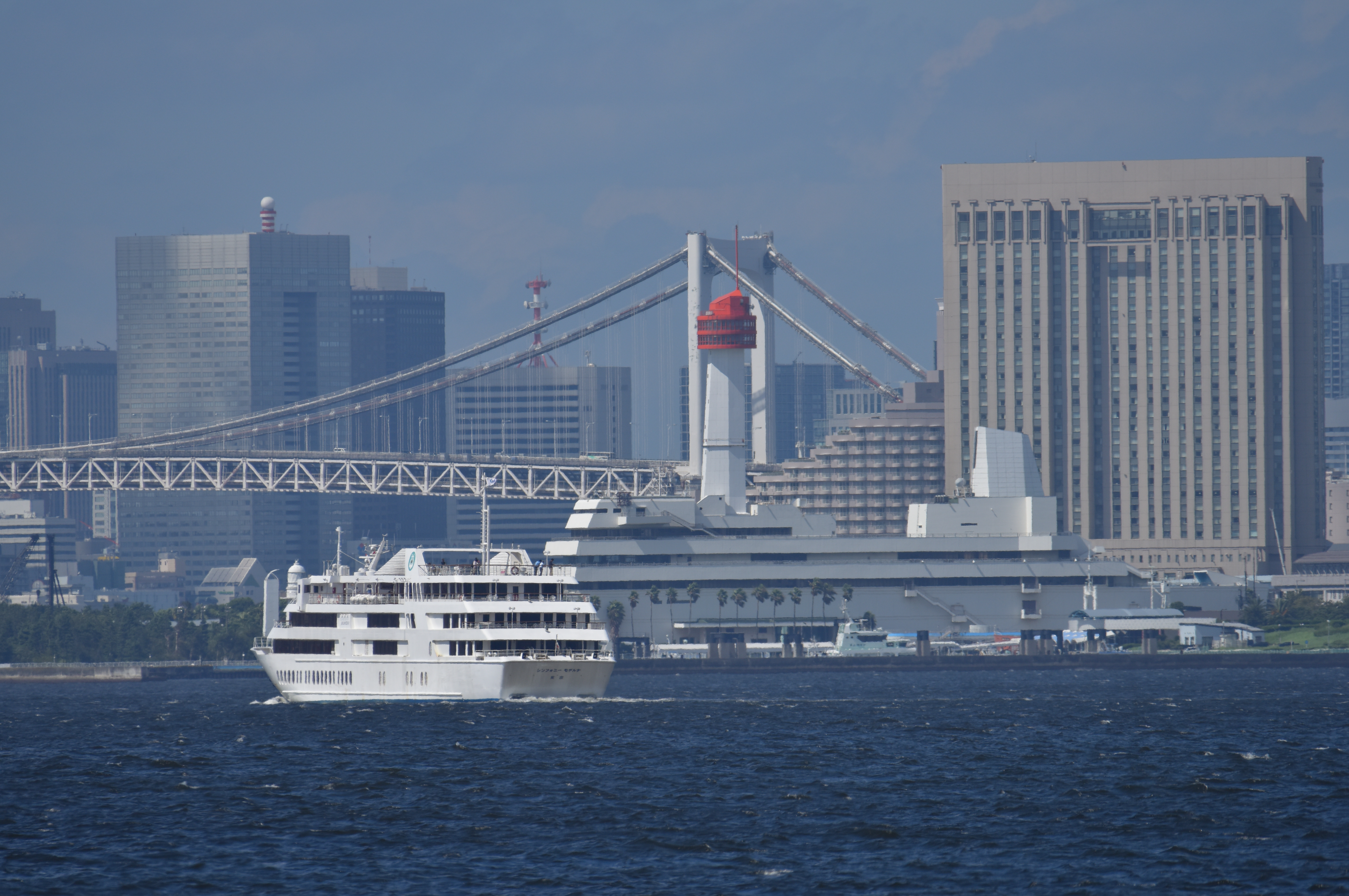 D810 / 1/1,600秒 / F7 / 0EV / ISO200 / シャッター優先 / 500mm