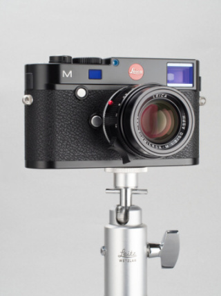 ライカレンズの美学：APO-SUMMICRON-M F2/50mm ASPH. 羊の皮を被った狼