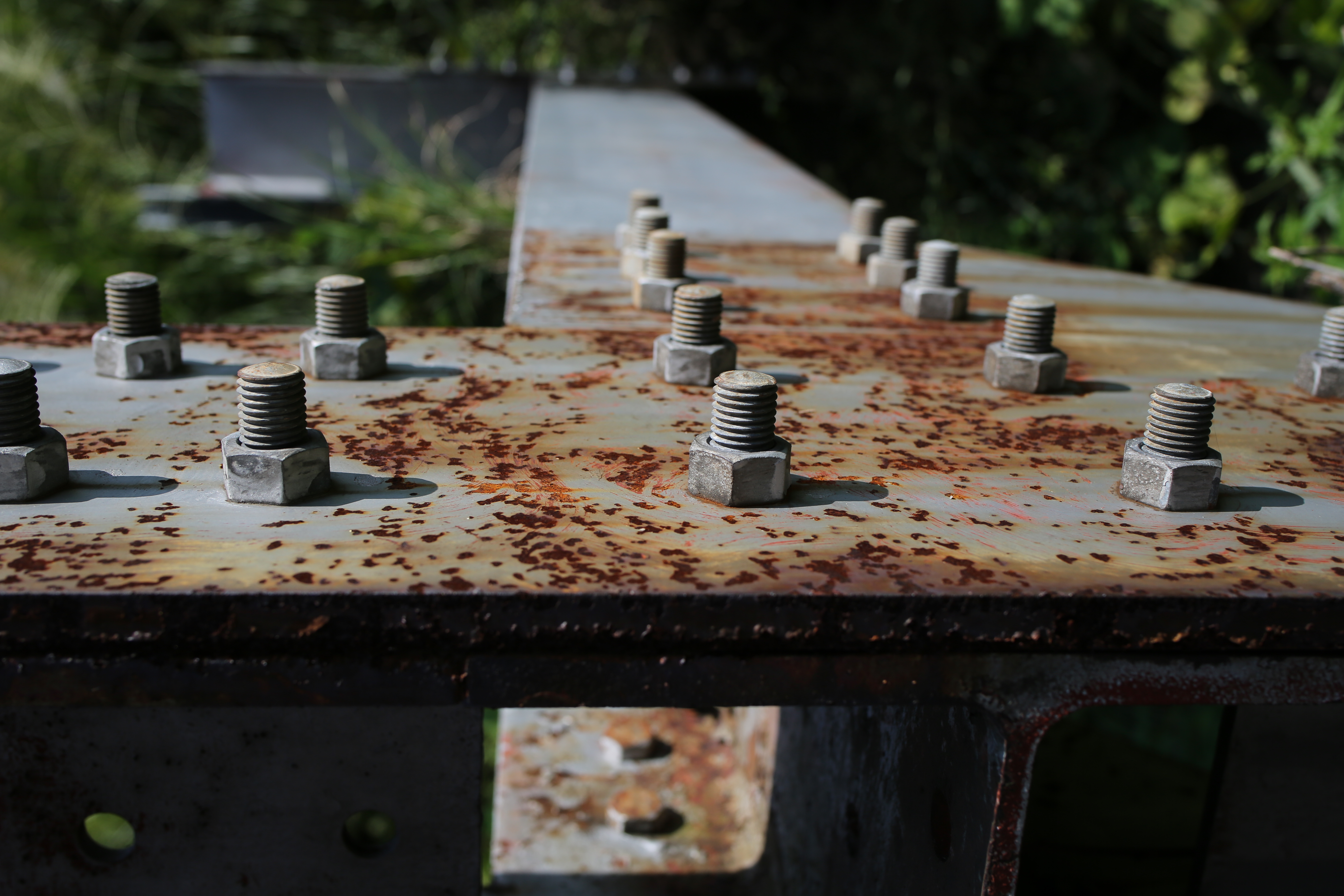 これはまだ最短ではないが、かなり寄れるのでストレスなく近接できるのがうれしい。近接時の画質も周辺まで乱れが少なく素晴らしい。<br class="">EOS 5D Mark III／SP 35mm F/1.8 Di VC USD／1/640秒／F5.6／-1EV／ISO100