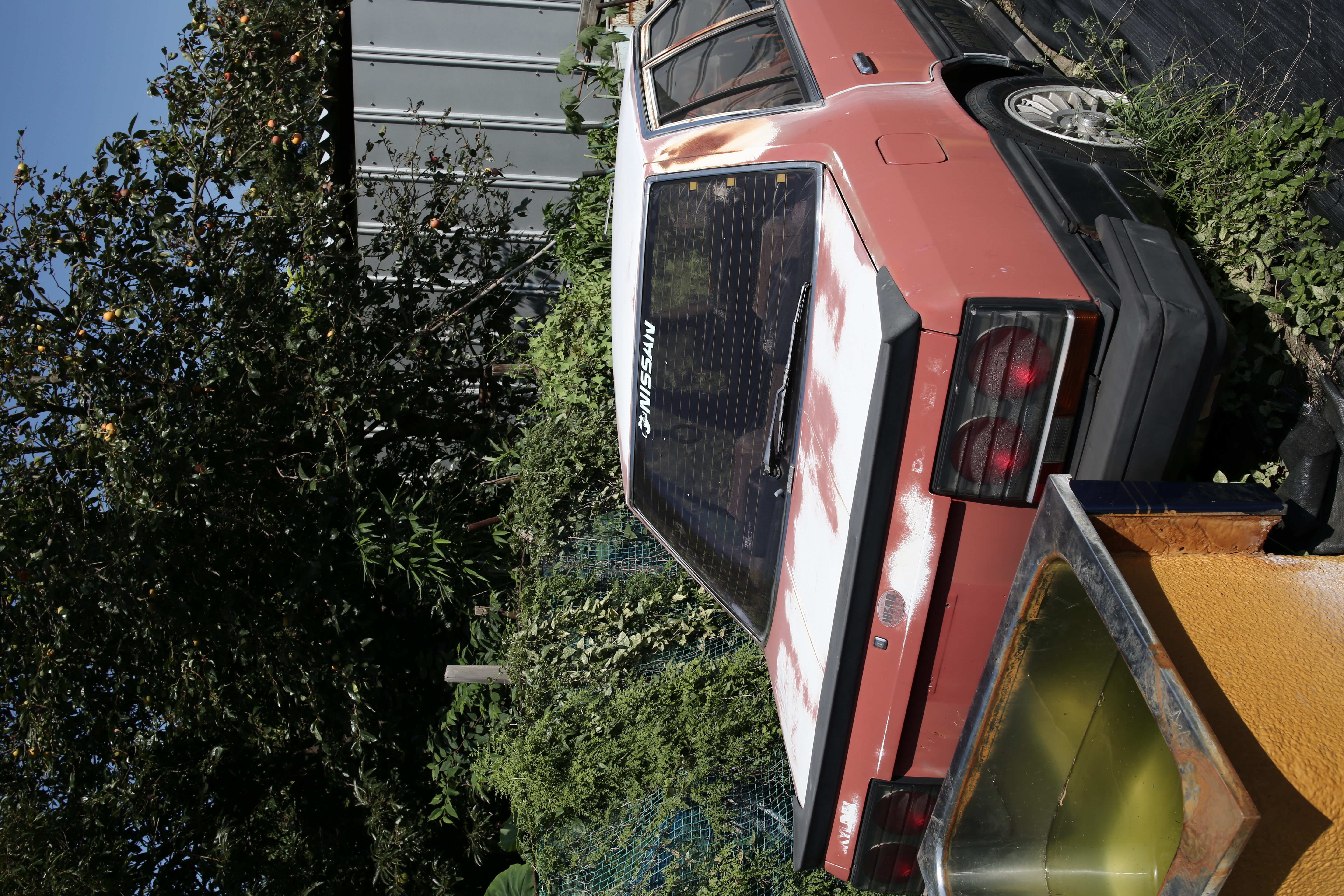 被写体に合わせてカメラ側の彩度を若干下げ、逆にコントラストは少し上げた設定で撮影。質感描写に優れたレンズなのがよく分かる再現を見せてくれた。<br class="">EOS 5D Mark III／SP 35mm F/1.8 Di VC USD／1/200秒／F11／-0.7EV／ISO100