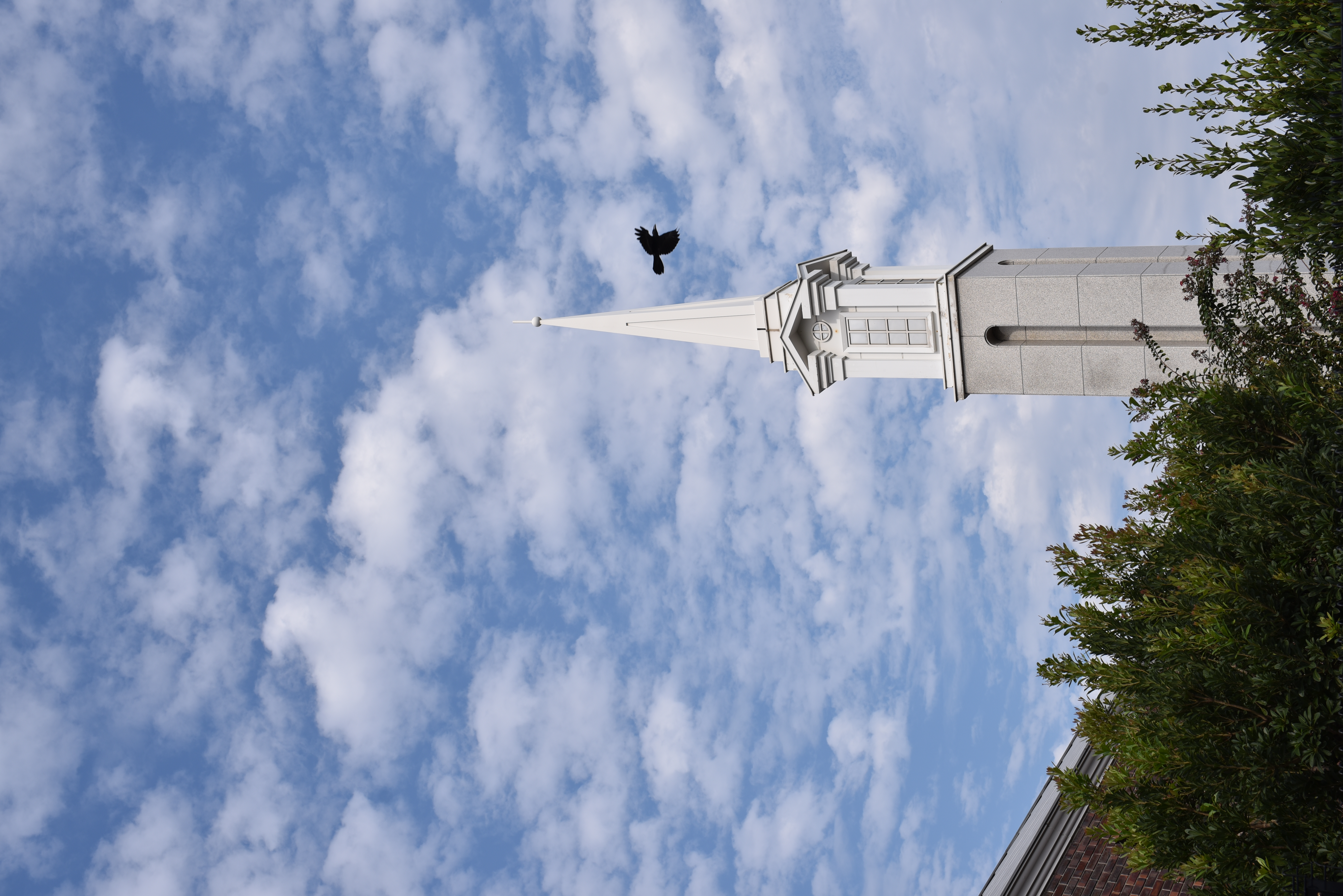 青空と雲を画面に大きく入れて、空の広さを強調した。塔や植物はとてもシャープで、画面隅々まで安定した描写だ。一羽の鳥が画面を横切った瞬間にシャッターを切った。描写力だけでなく、操作性の良さも実感した。<br class="">D750／SP 45mm F/1.8 Di VC USD／1/400秒／F8／+0.3EV／ISO100