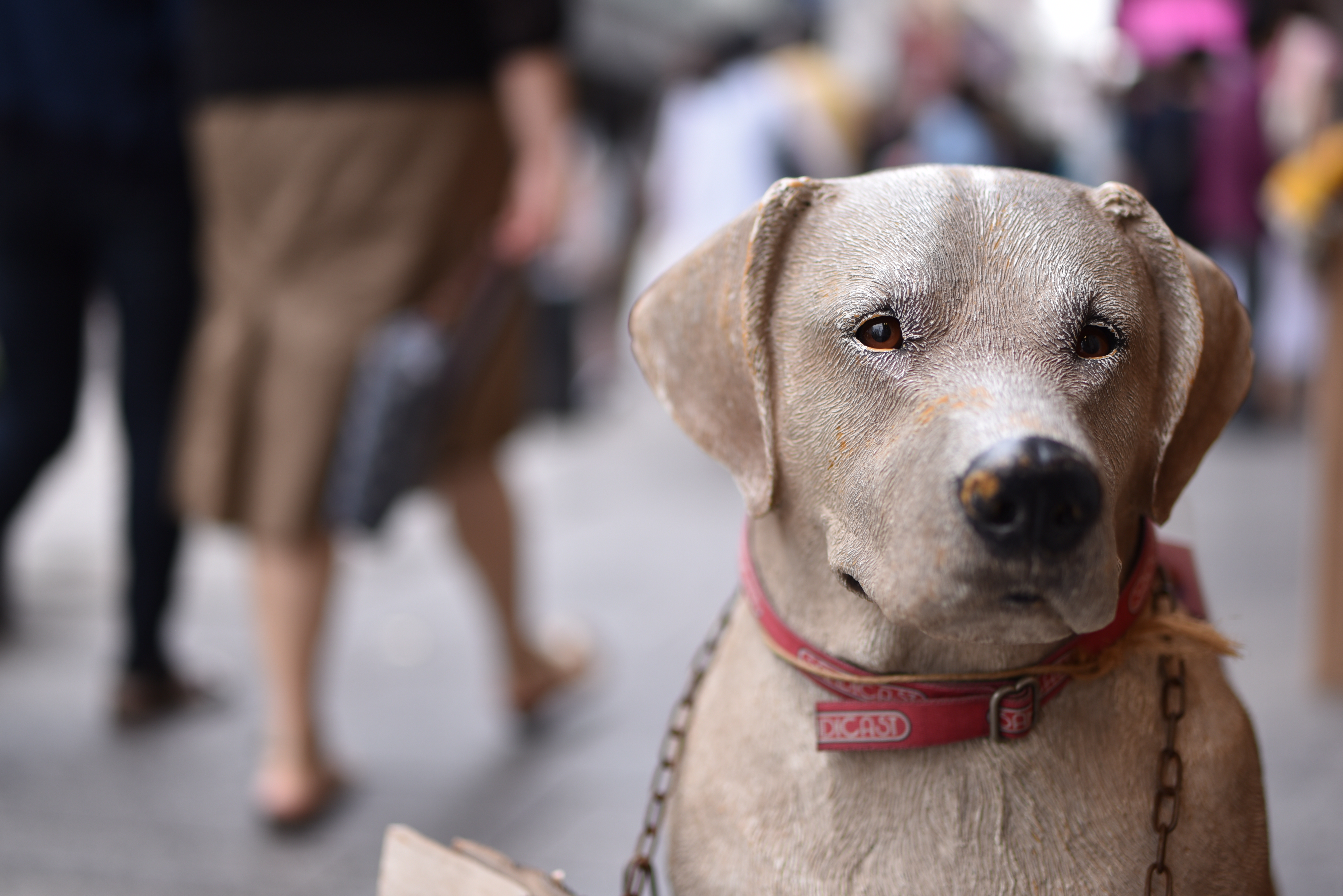 絞り開放で、作り物の犬の目にピントを合わせた。拡大すると、絞り開放とは思えないほど解像力が高い。また大きなボケを活かして、街の雑踏を表現した。このレンズを手にしたら、浅い被写界深度を積極的に利用したい。<br class="">D750／SP 45mm F/1.8 Di VC USD／1/250秒／F1.8／0EV／ISO100