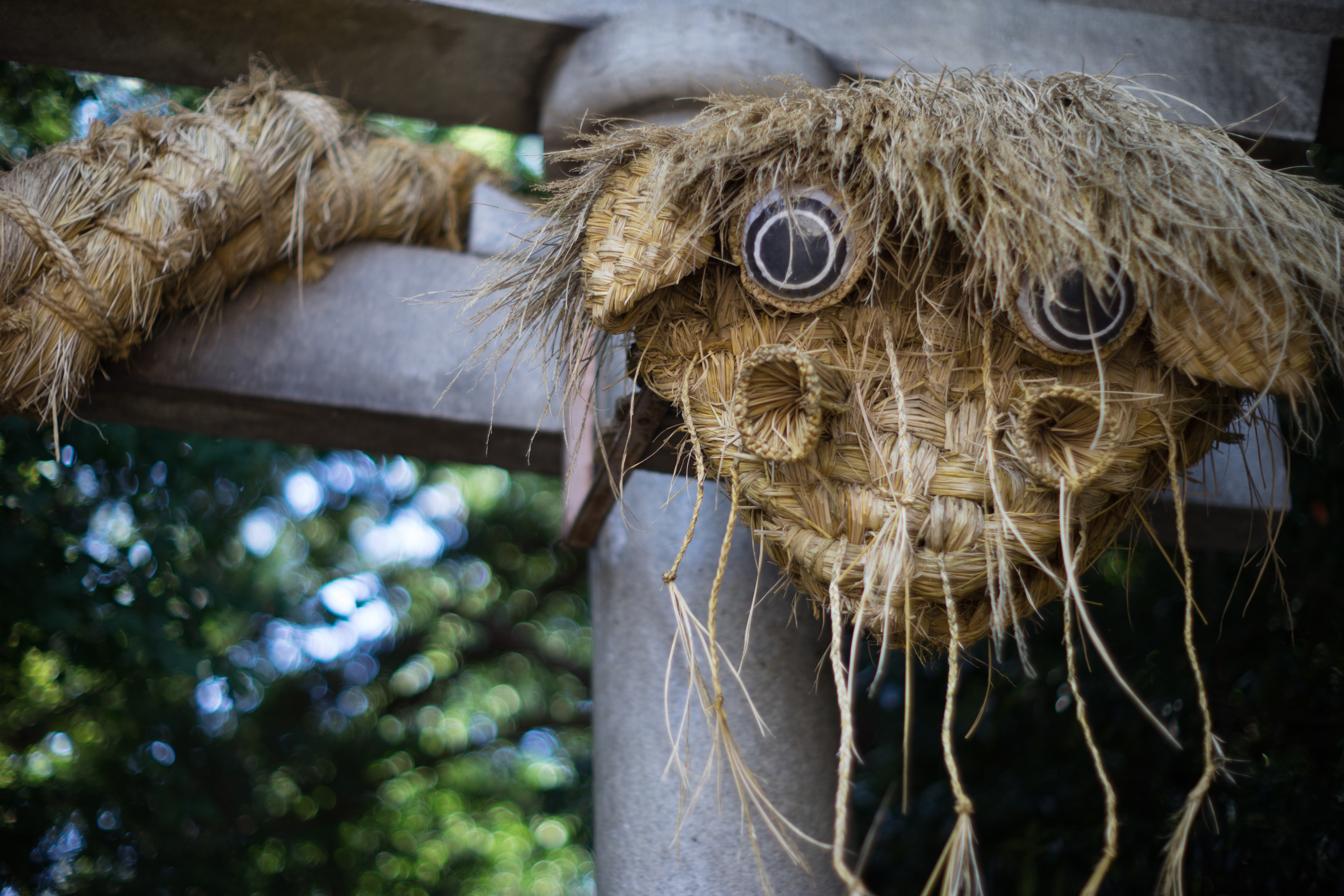 α7 II / Kistar 55mm F1.2 / 1/400秒 / F1.4 / ±0EV / ISO100 / WB:オート