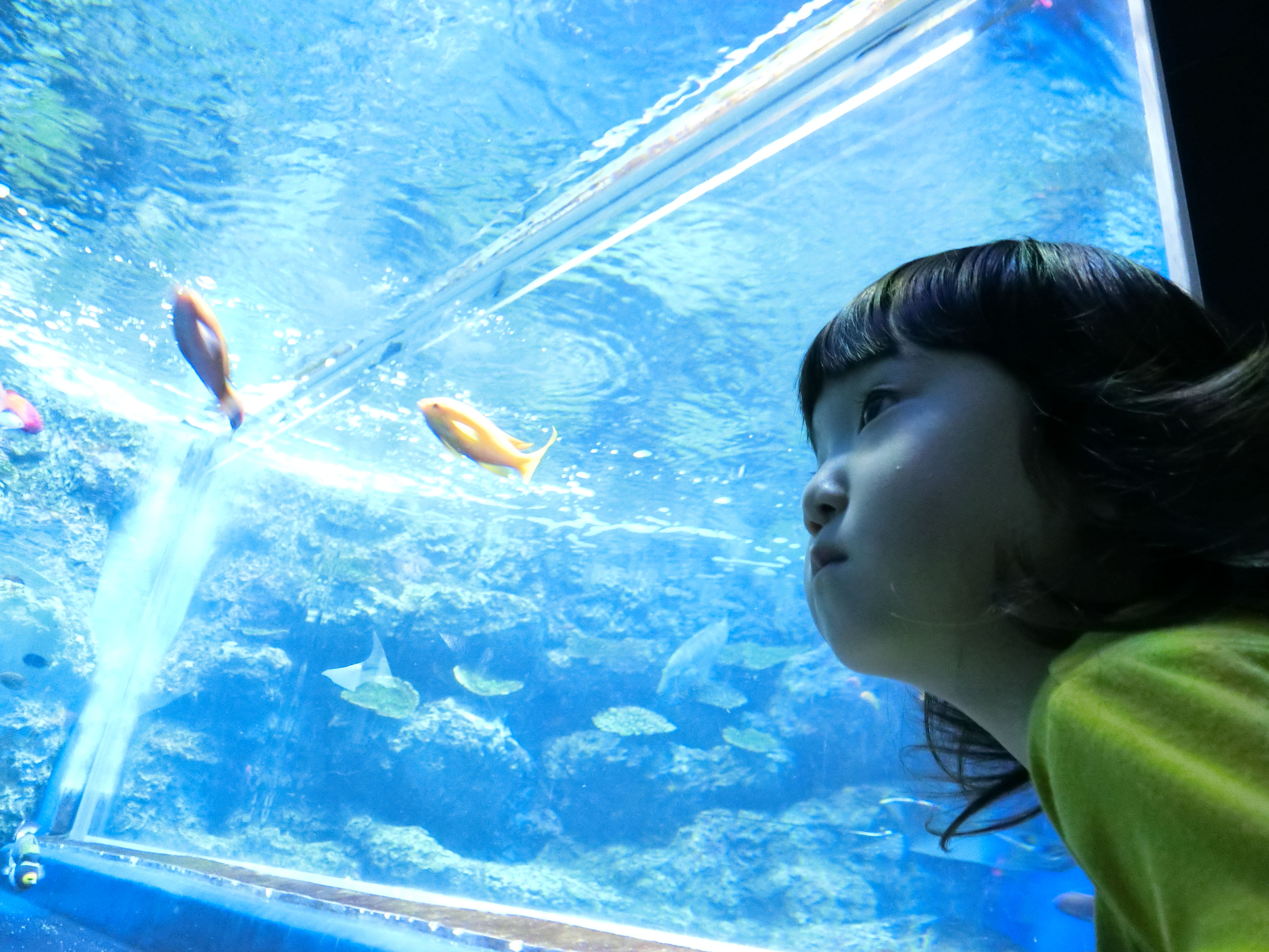 EXILIM EX-ZR3000／1/25秒／F2.8／+1EV／ISO1600／25mm相当（35mm相当判換算）