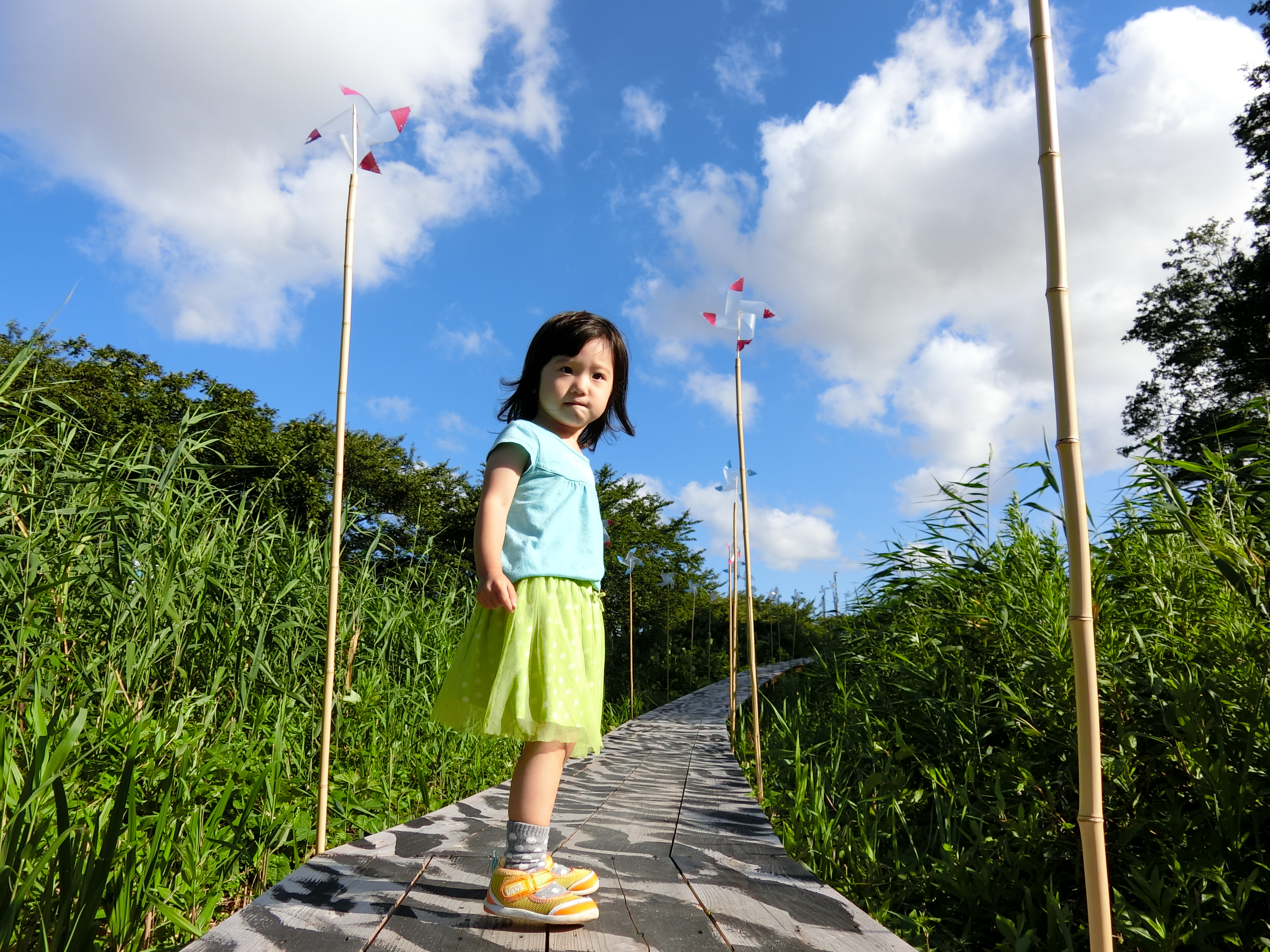 EXILIM EX-ZR3000／1/1,250秒／F2.8／+0.3EV／ISO80／25mm相当（35mm相当判換算）