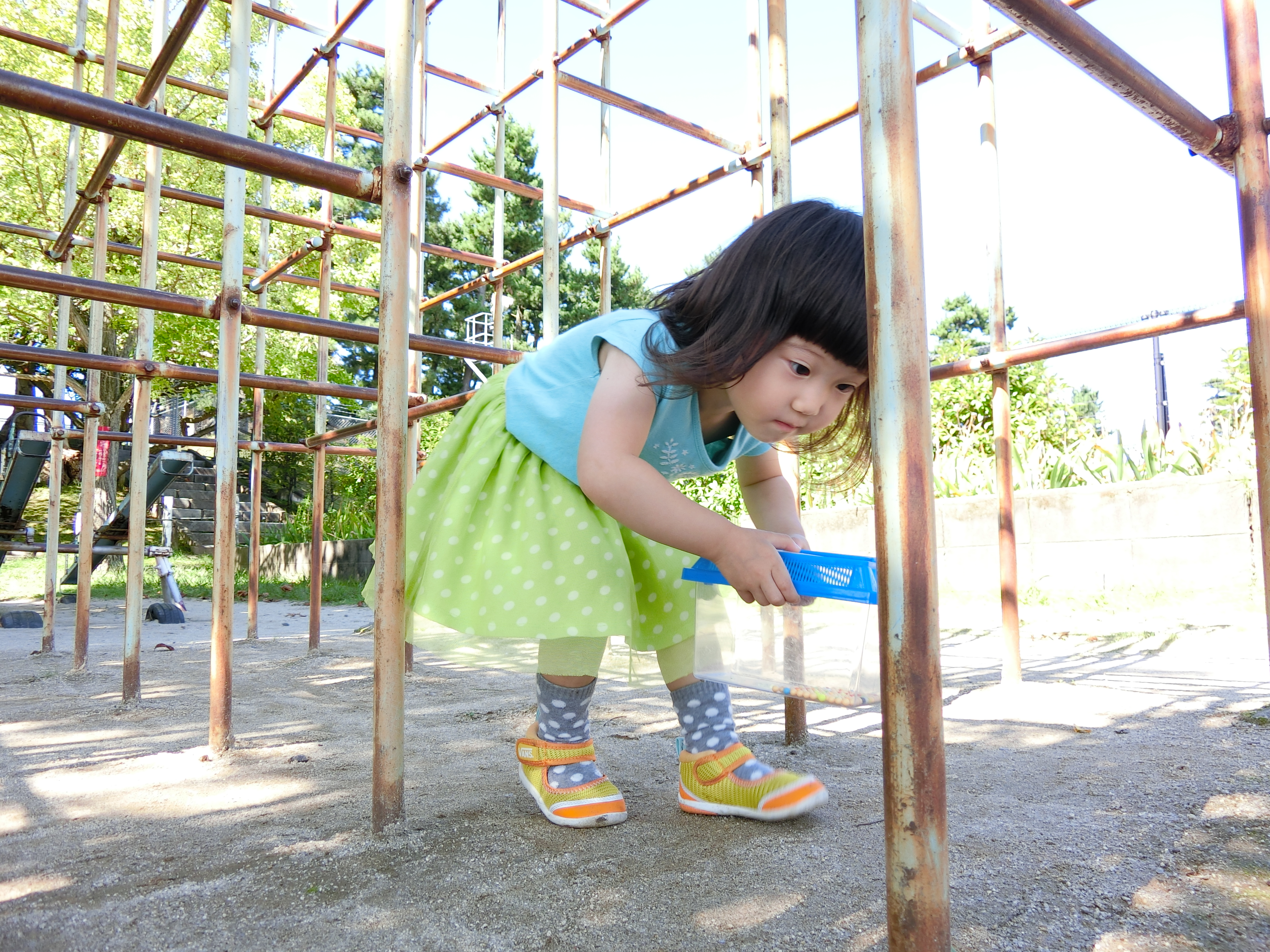 EXILIM EX-ZR3000／1/160秒／F2.8／+1.3EV／ISO80／25mm相当（35mm相当判換算）