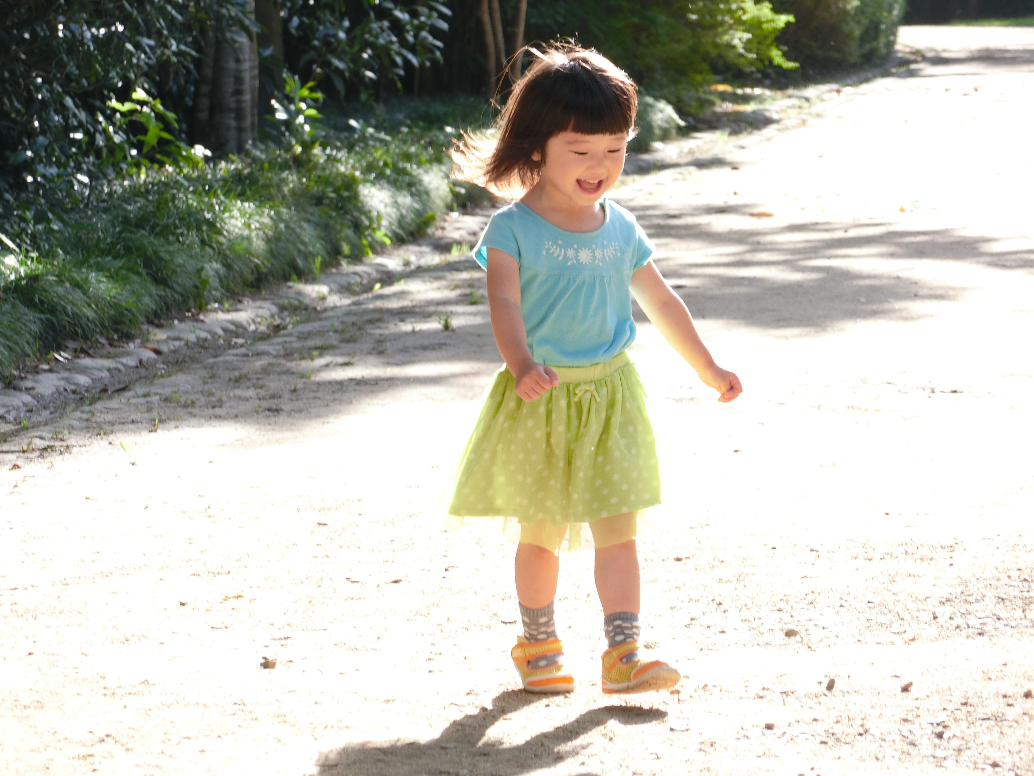 EXILIM EX-ZR3000／1/200秒／F5.3／+2EV／ISO200／192mm相当（35mm相当判換算）